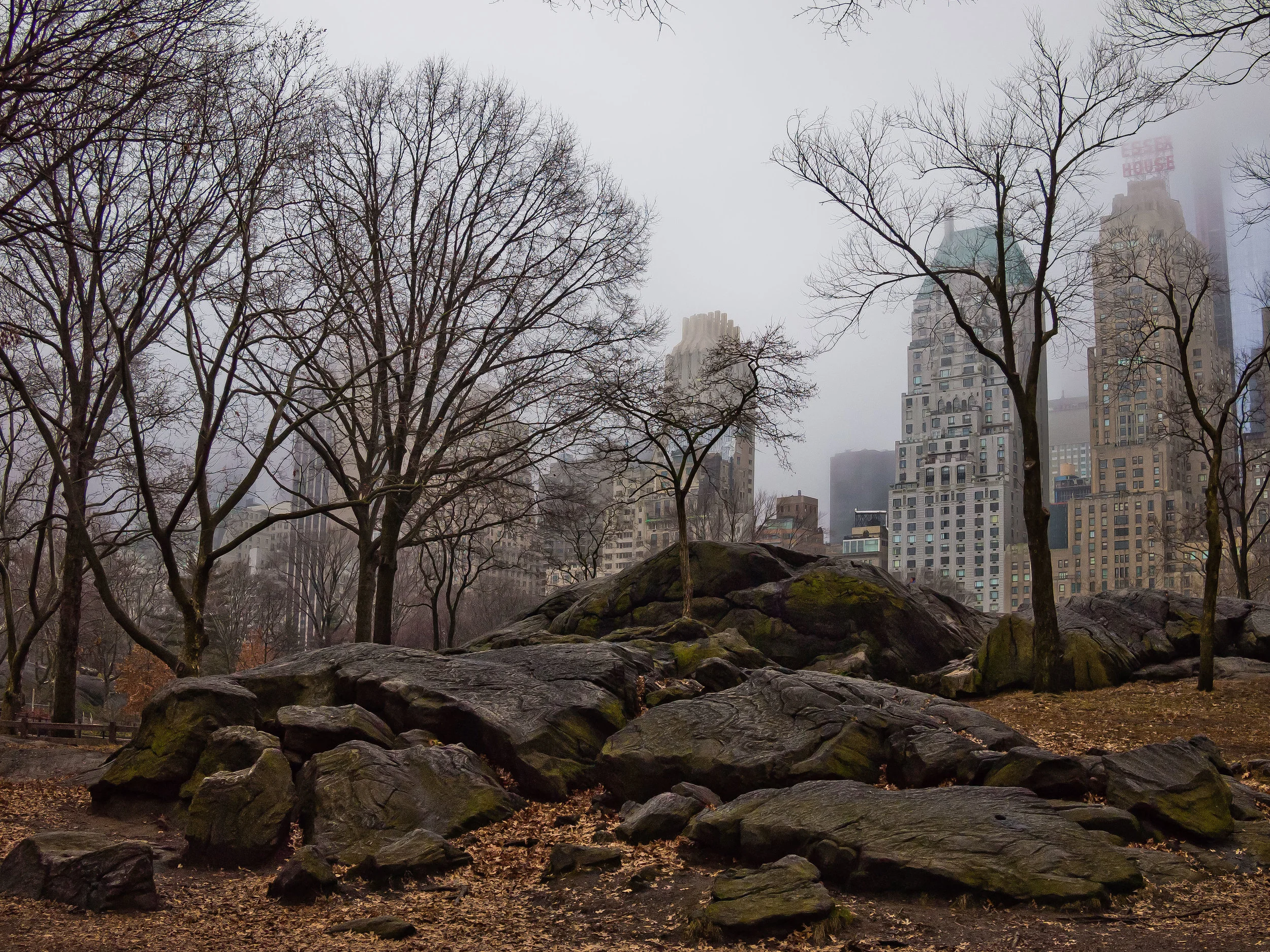Central Park South, January 2013