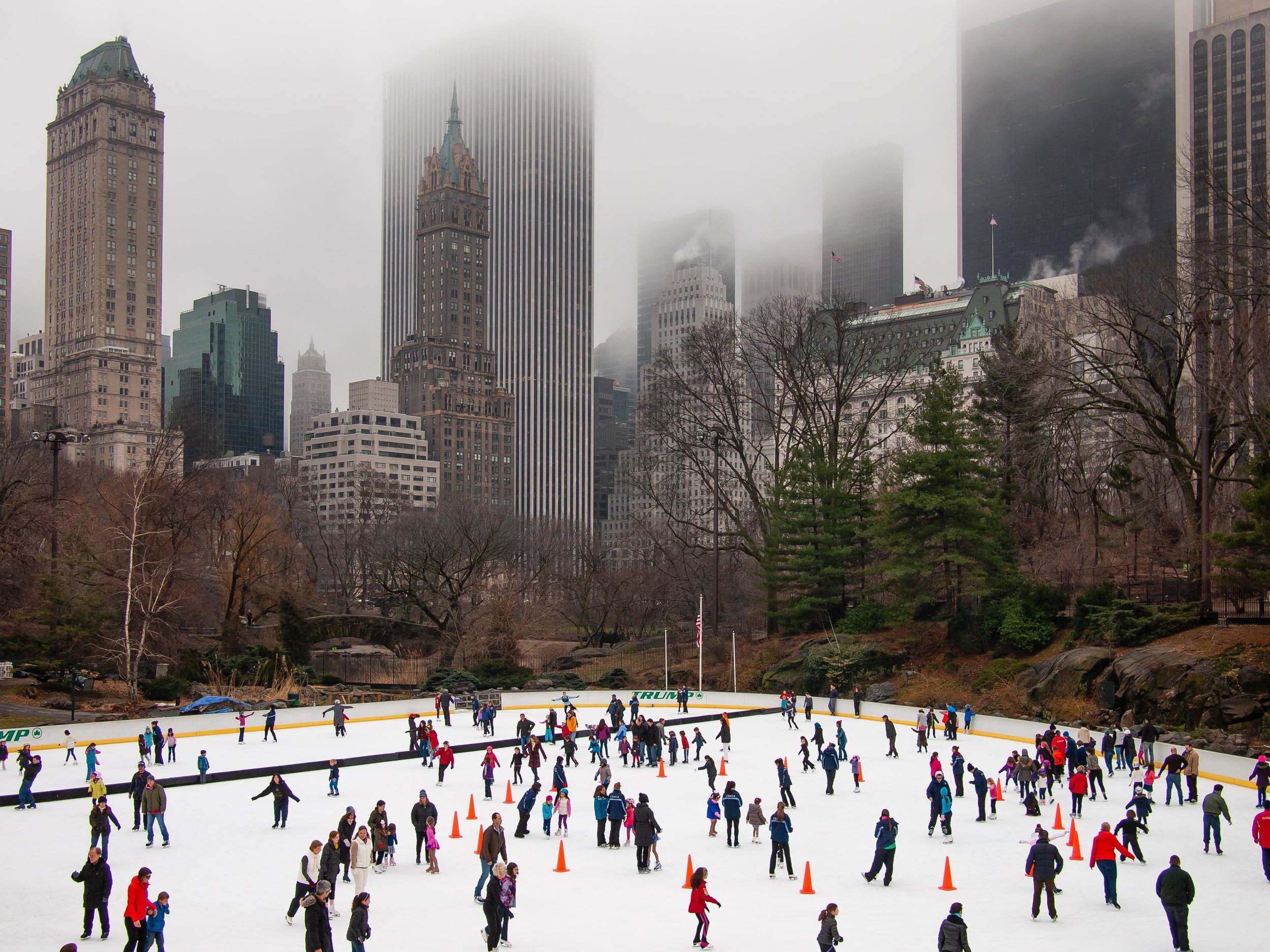   Wollman Rink, January 2013  