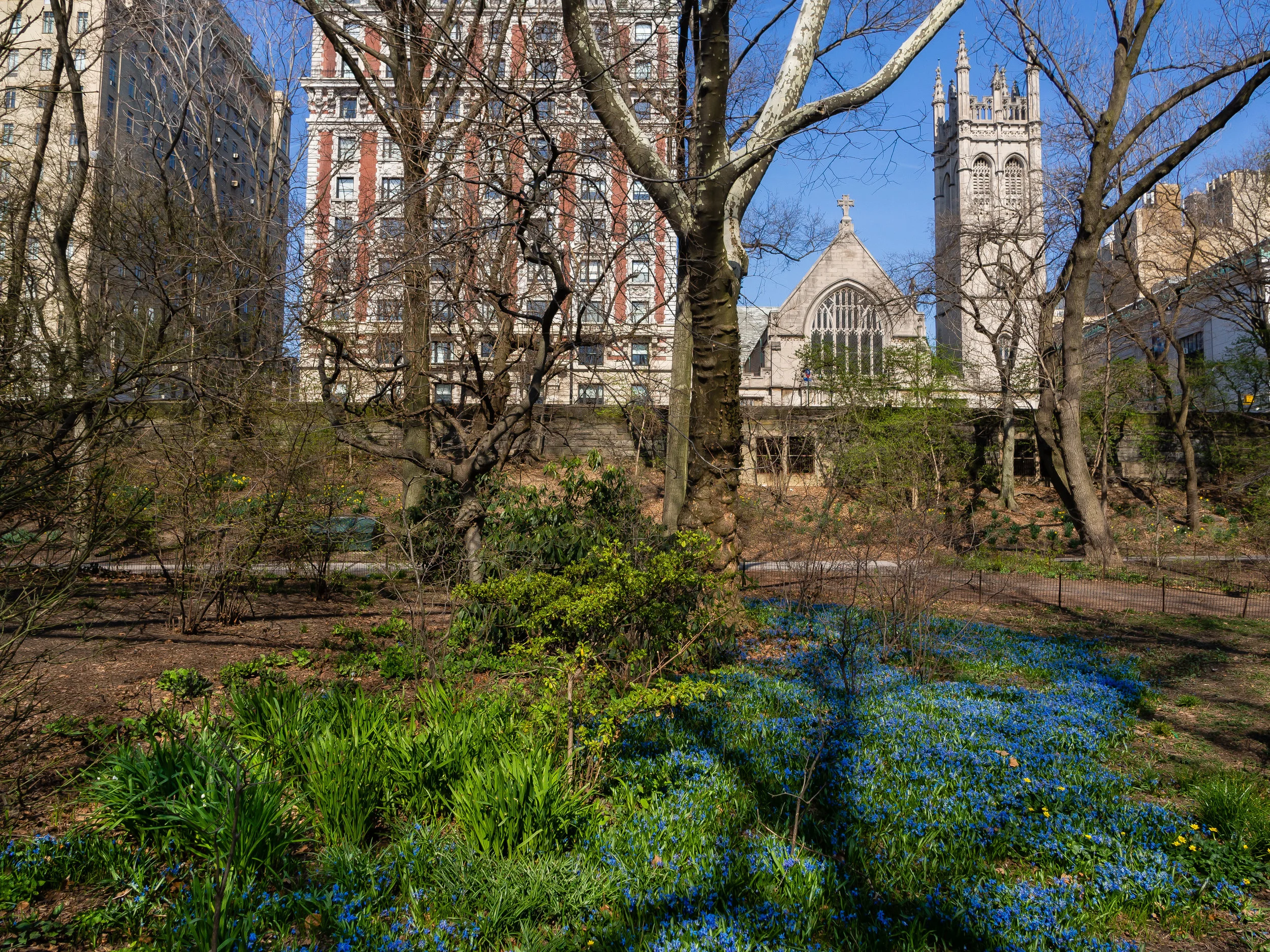 The Bridle Path, April 2018