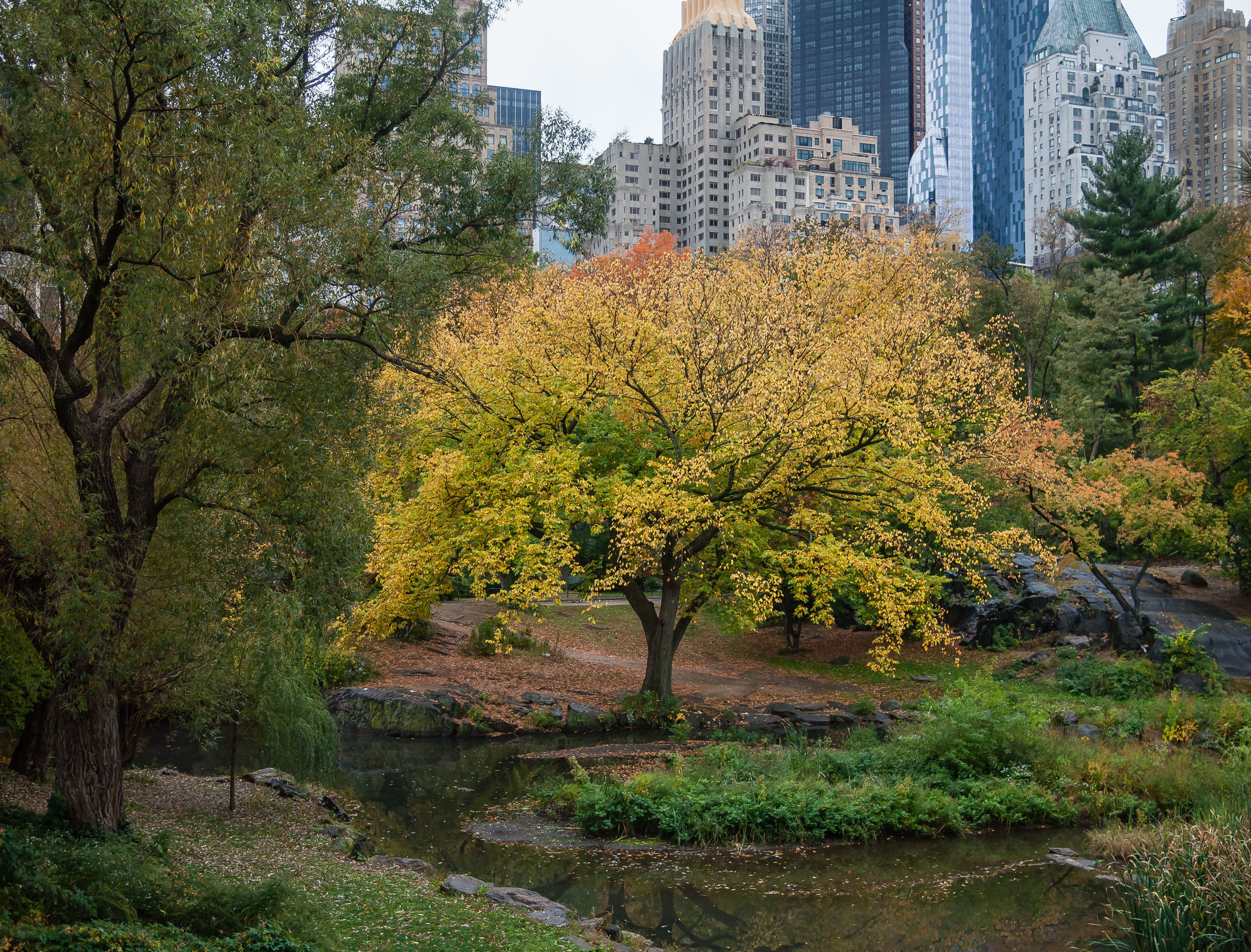   Central Park Lagoon, October 2015  