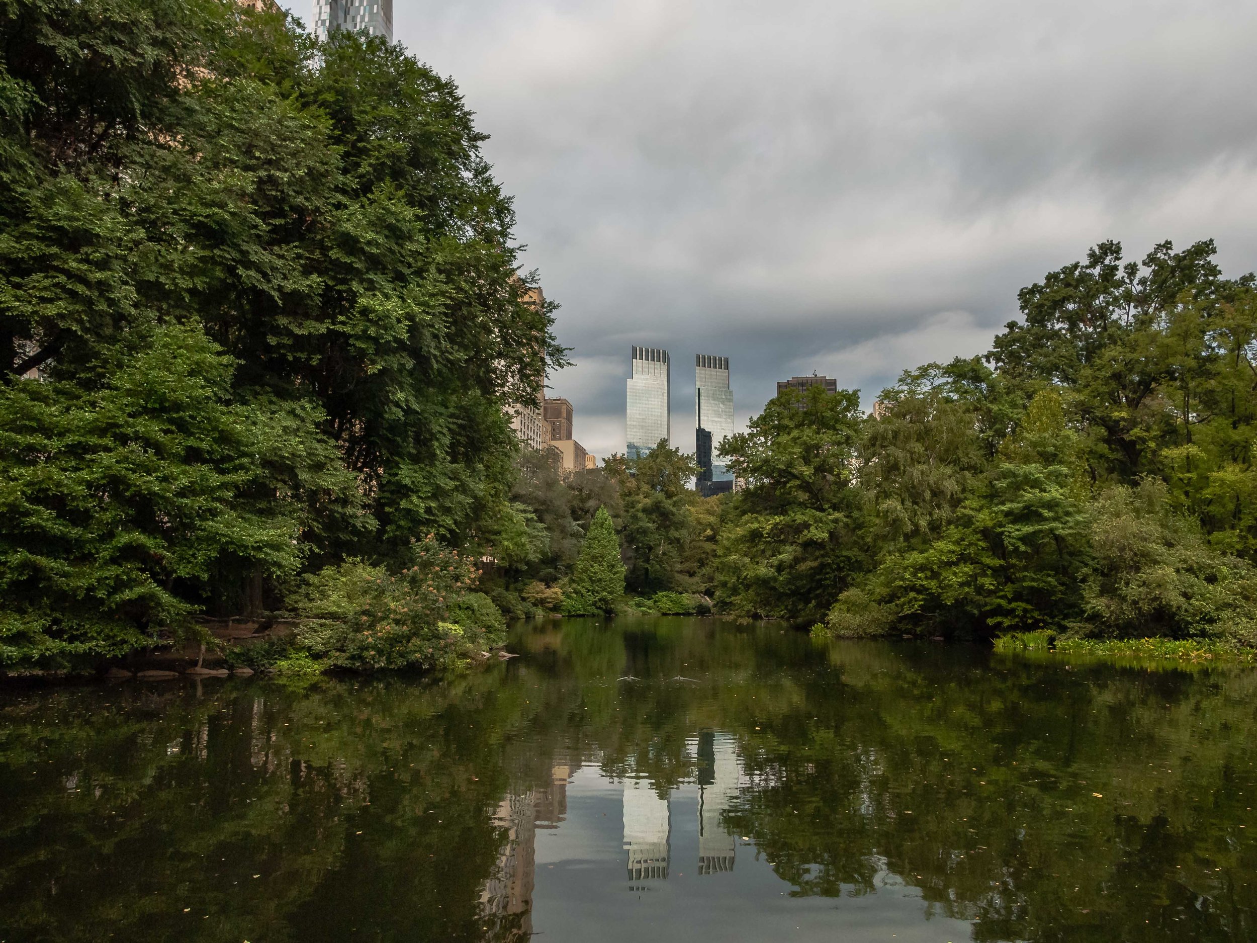   The Pond, September 2015  