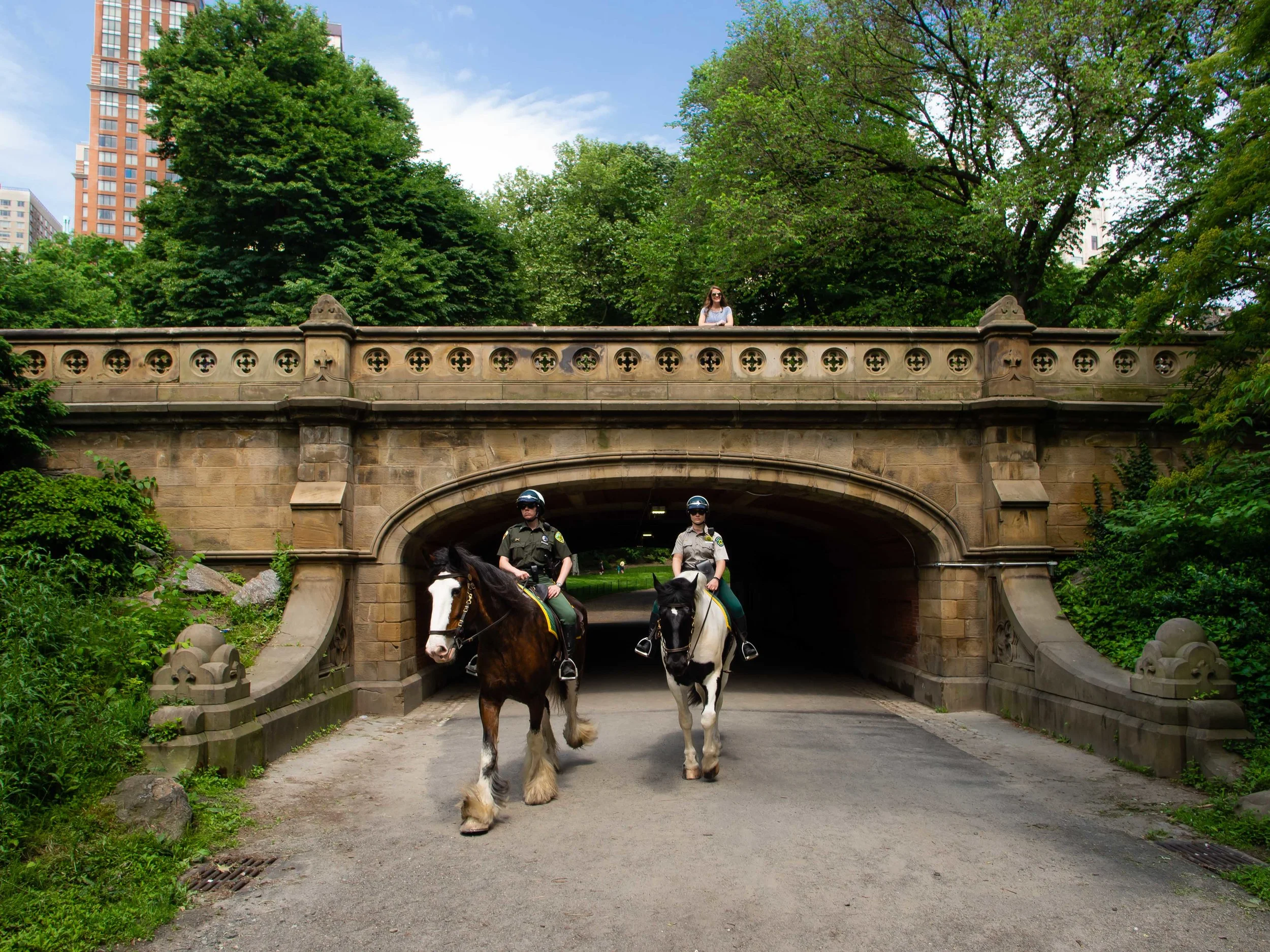 Dalehead Arch, May 2018