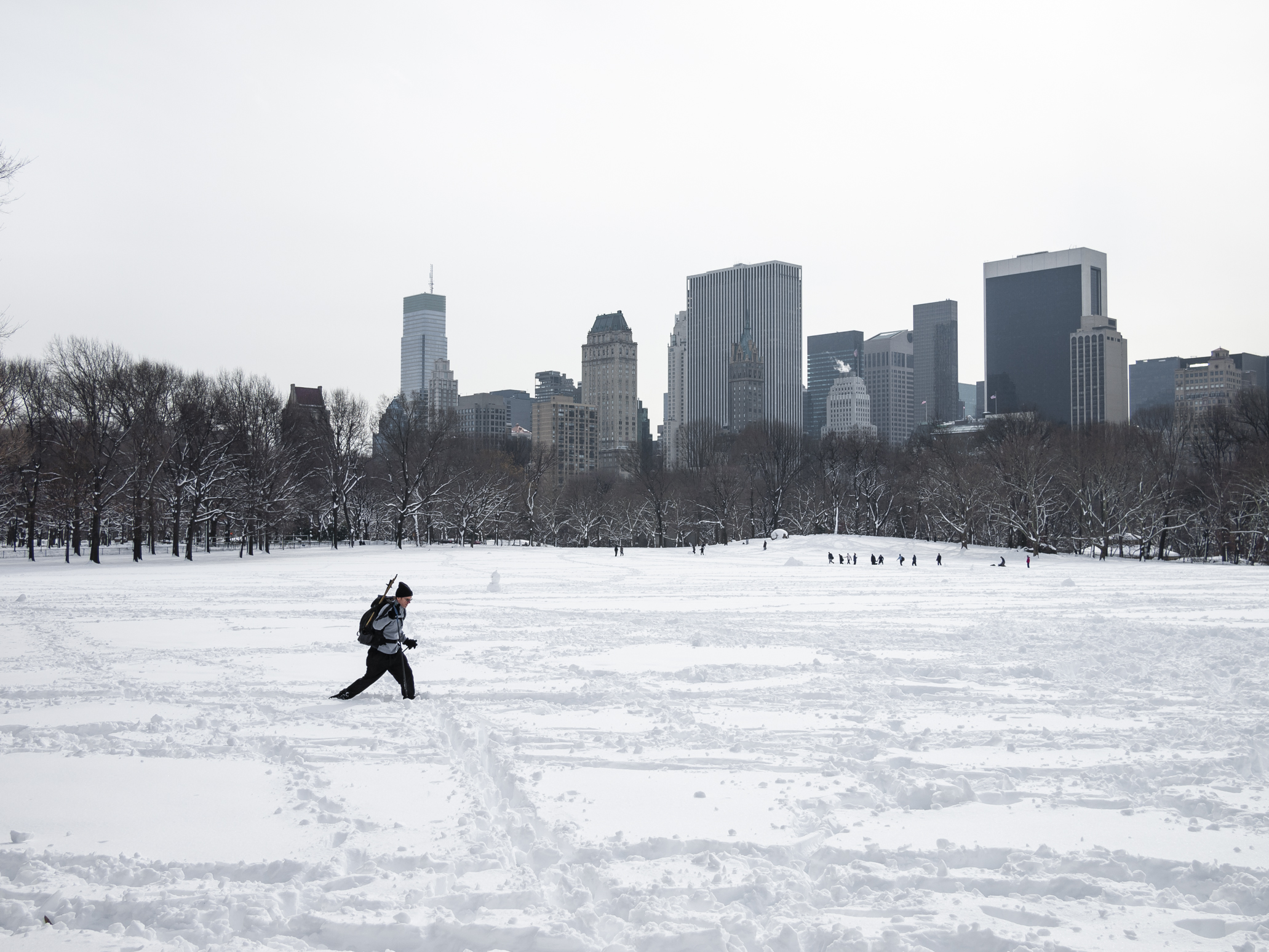   Sheep Meadow, January 2011  