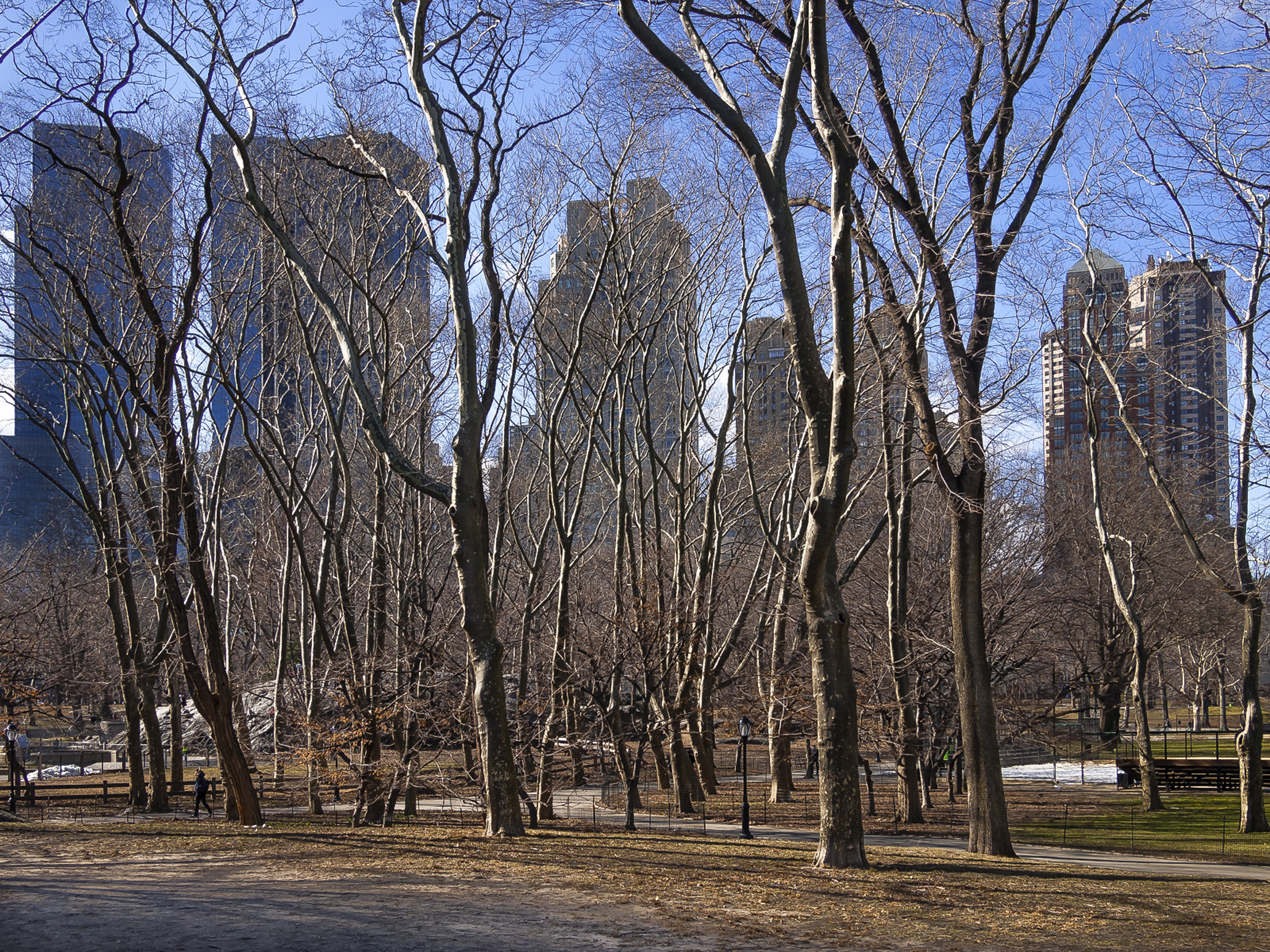   East of Hecksher Ballfields, February 2013  