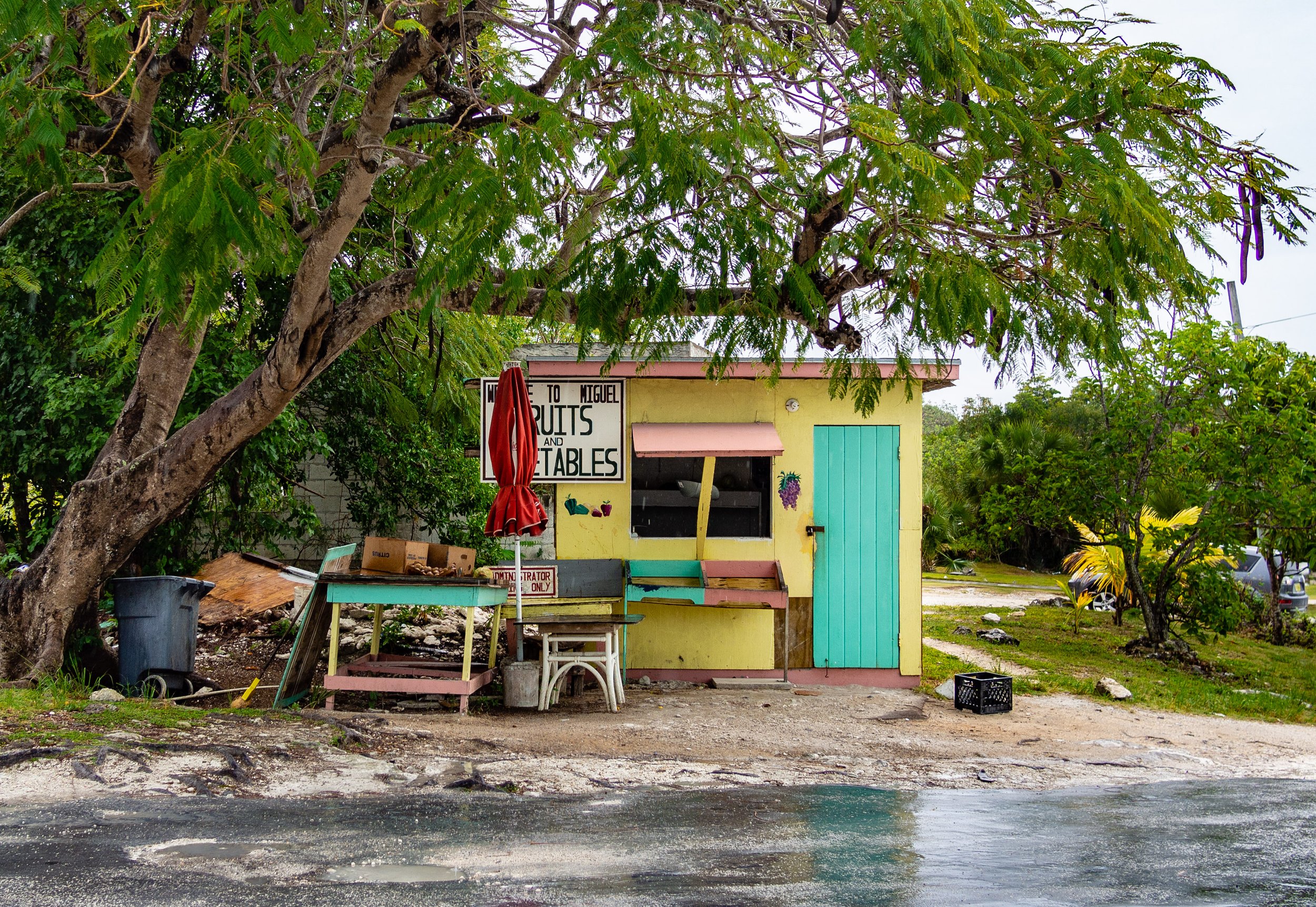 Eleuthera, 2019