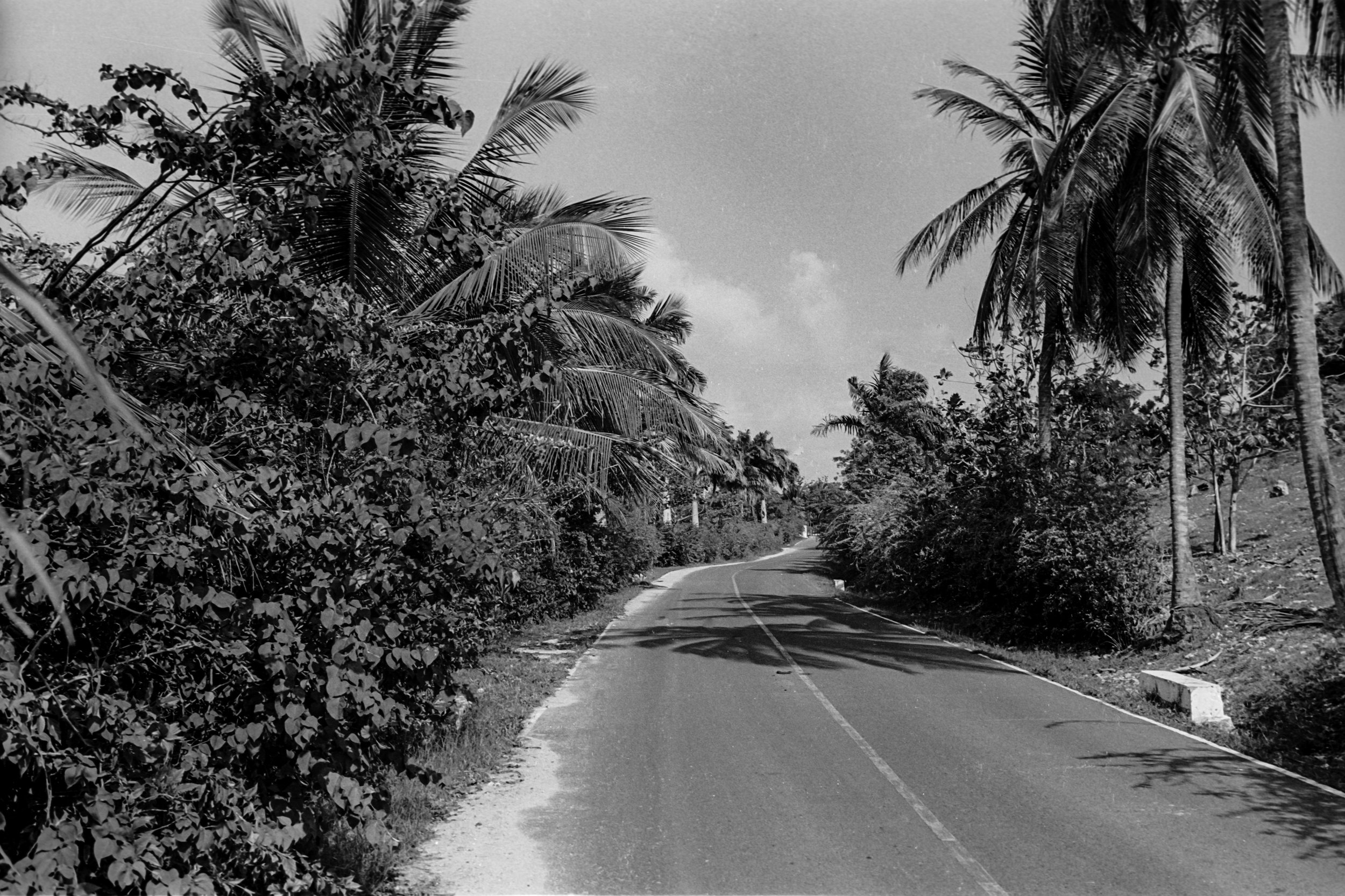 guadaloupe road.jpg