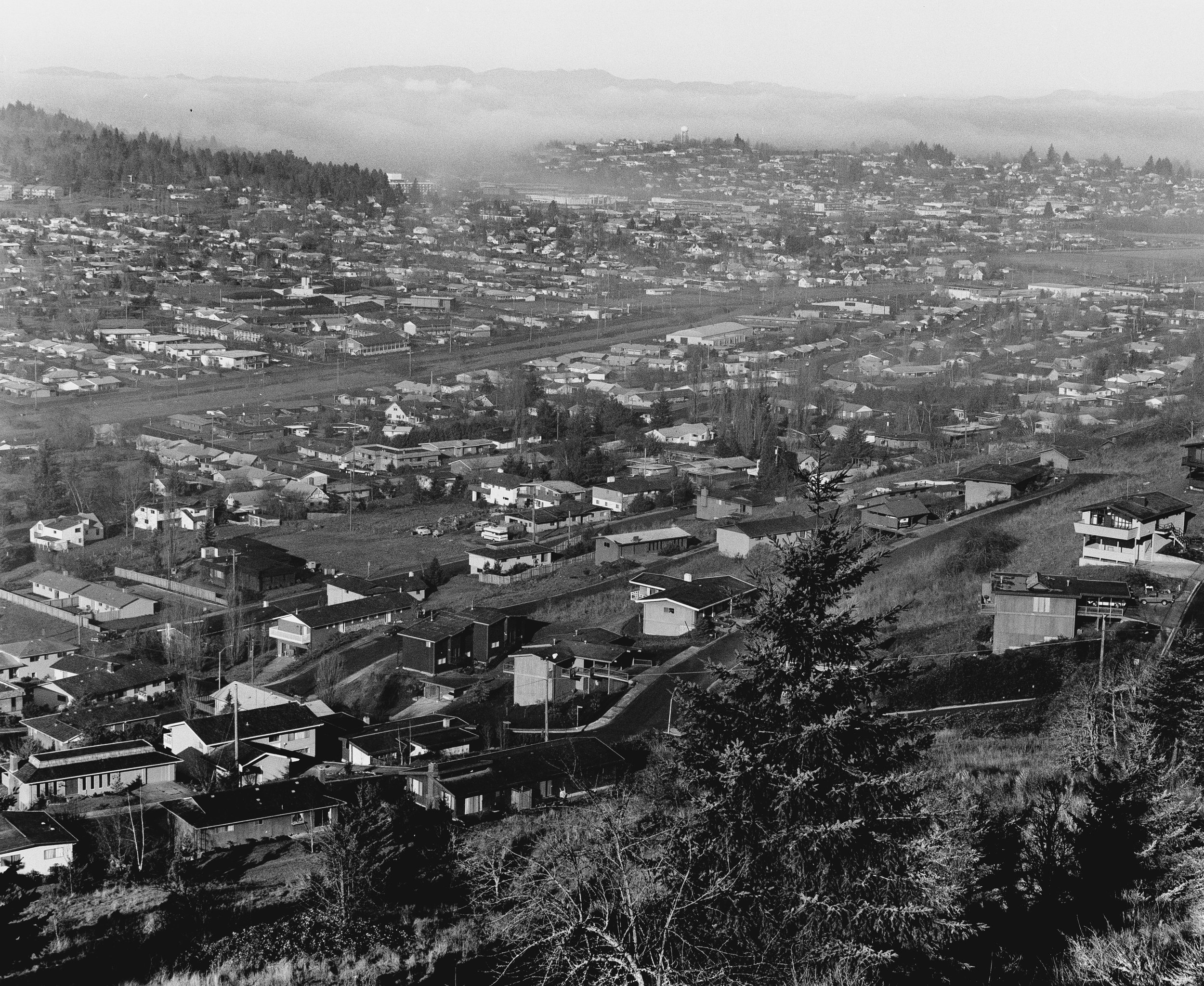   View of Eugene, Oregon, 1975  