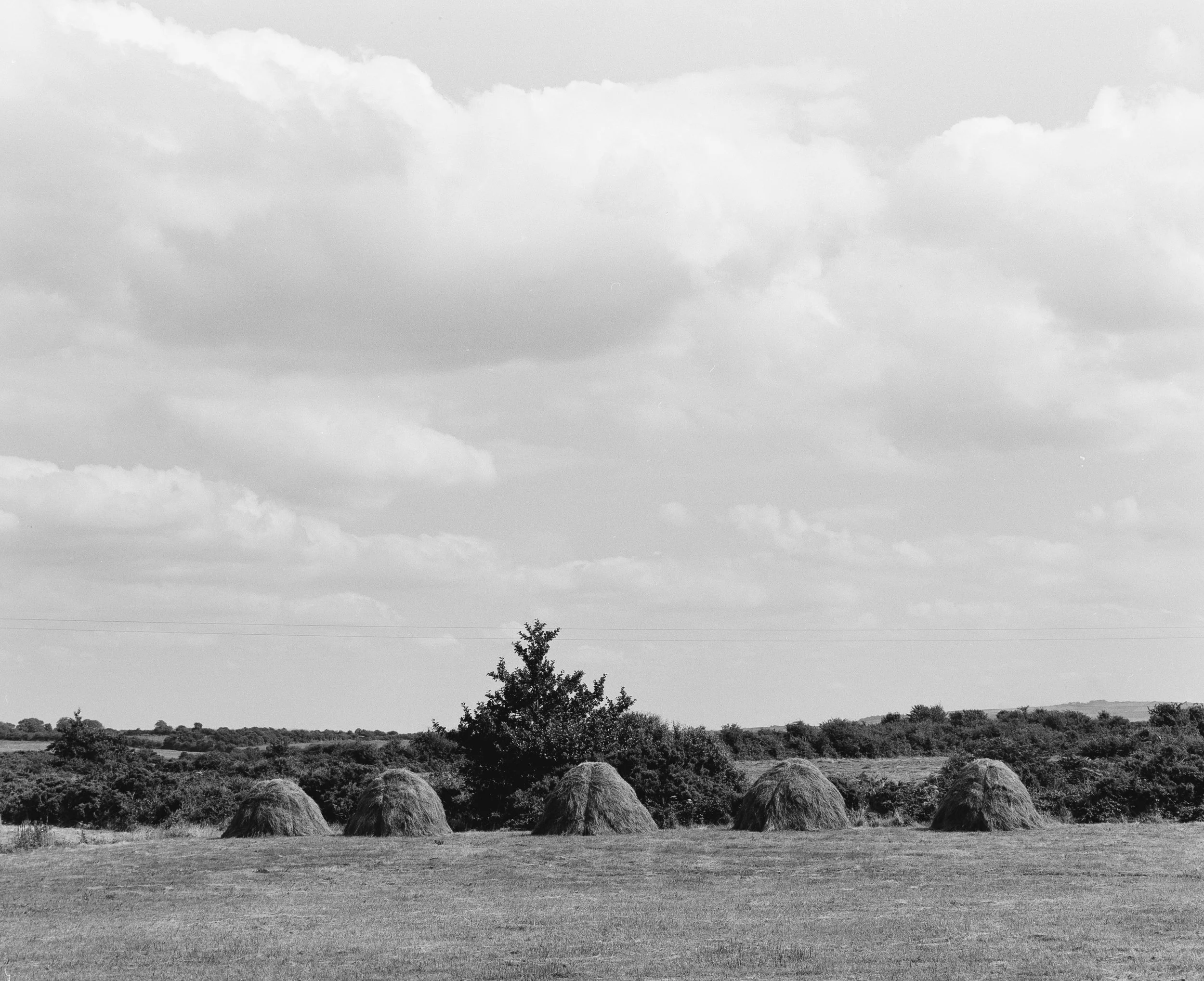 WHEAT STACKS.jpg
