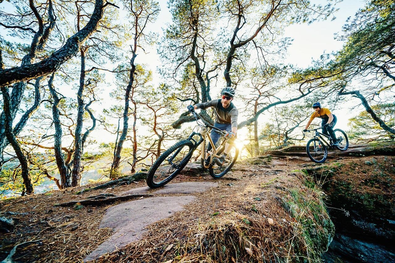 Letzten Herbst waren wir mit Propain in der Pfalz unterwegs und konnten deren neues Trail Bike Hugene fotografieren. 
.
.
@propain_bicycles 
@thomas_der_professor_schmitt 
@willyflonka 
#welovebikes #soenduro #trailrakete #hometrails #mtb #sonyalpha