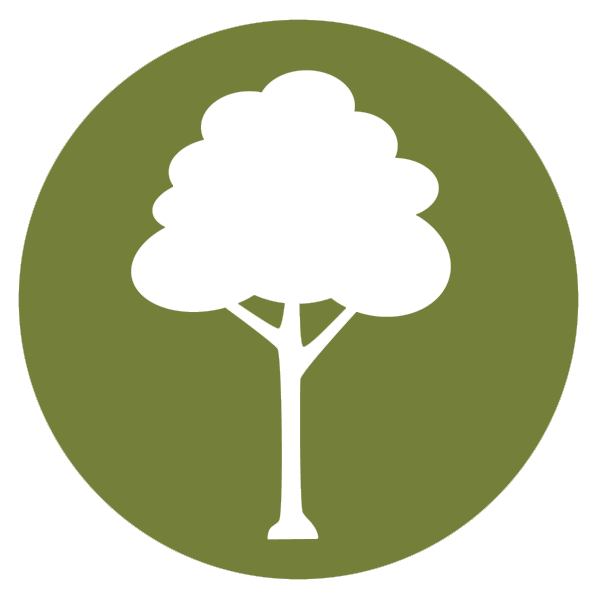 icon5.png