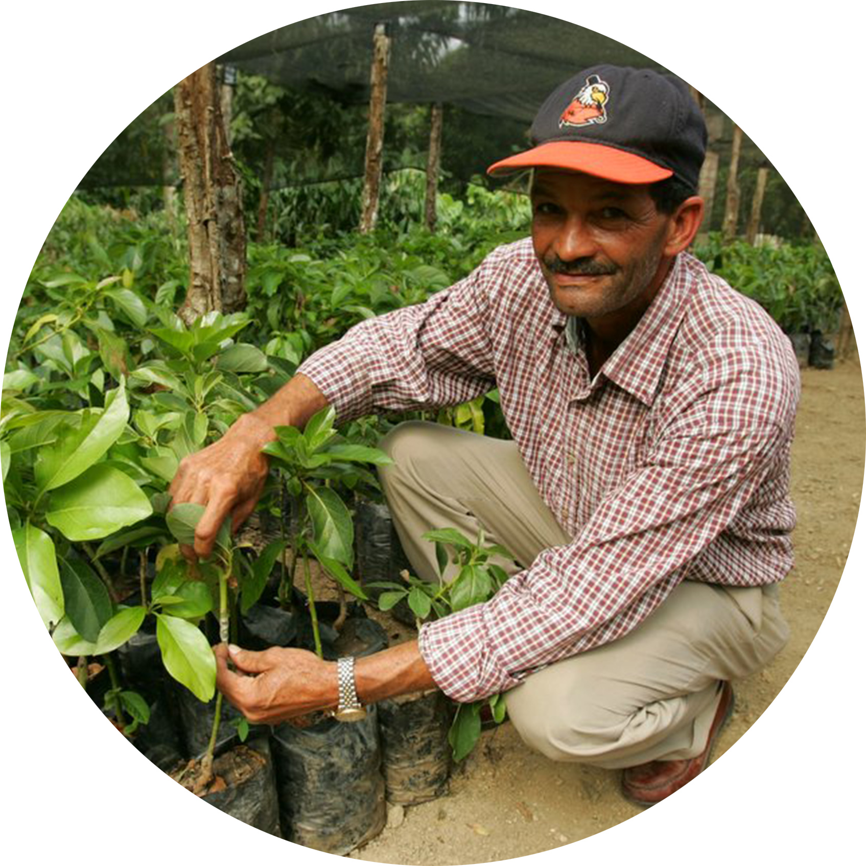 Partners Programs are funded with support from governments, multilateral organizations, private sector donors, and individuals.
