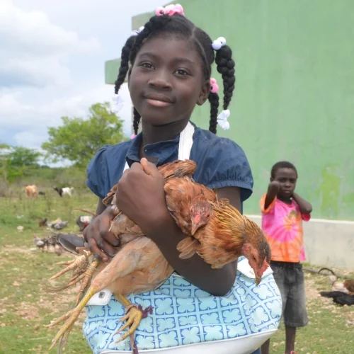 Buy a chicken for a family