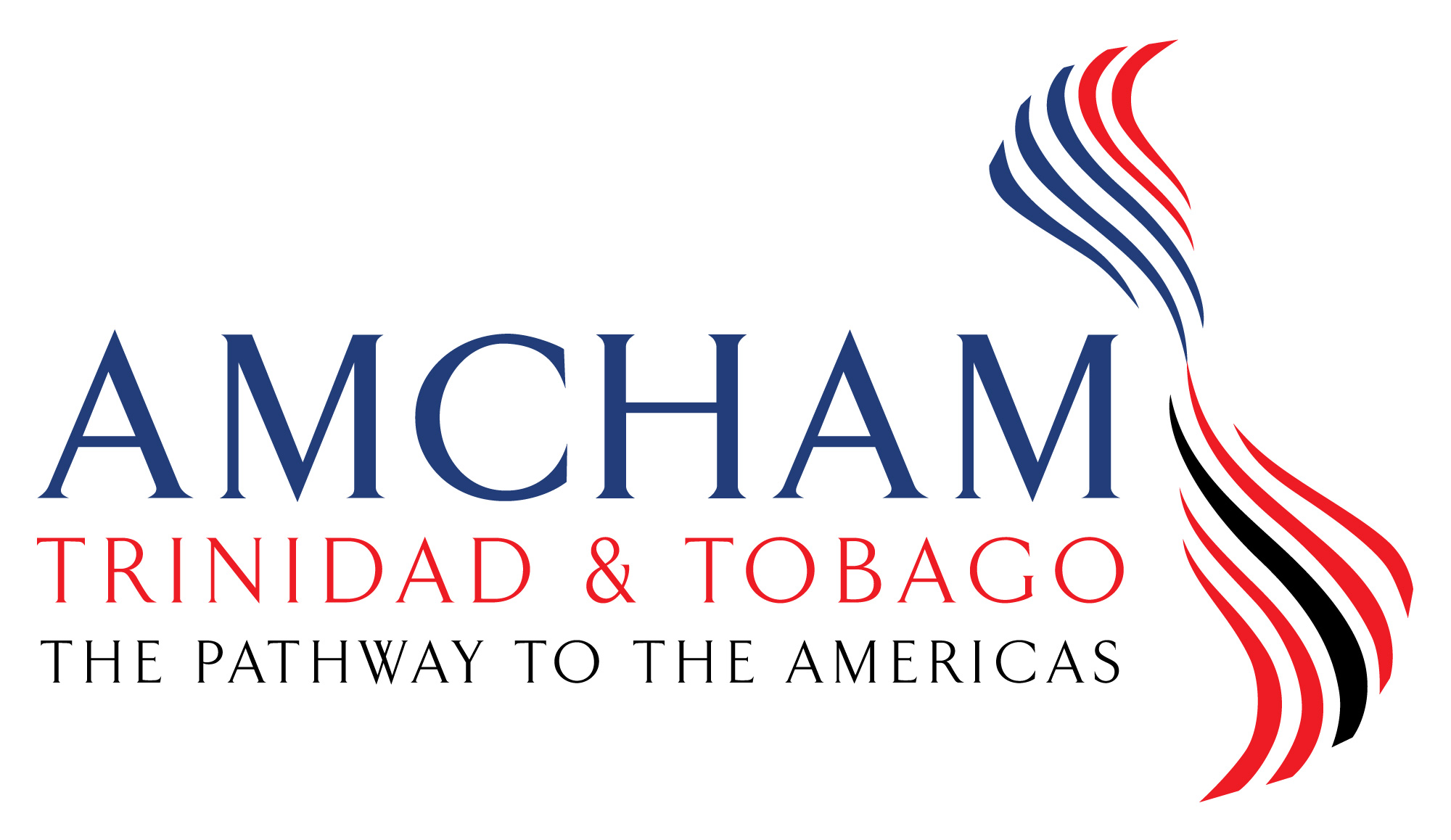 1.AmChamTT-Logo large.jpg