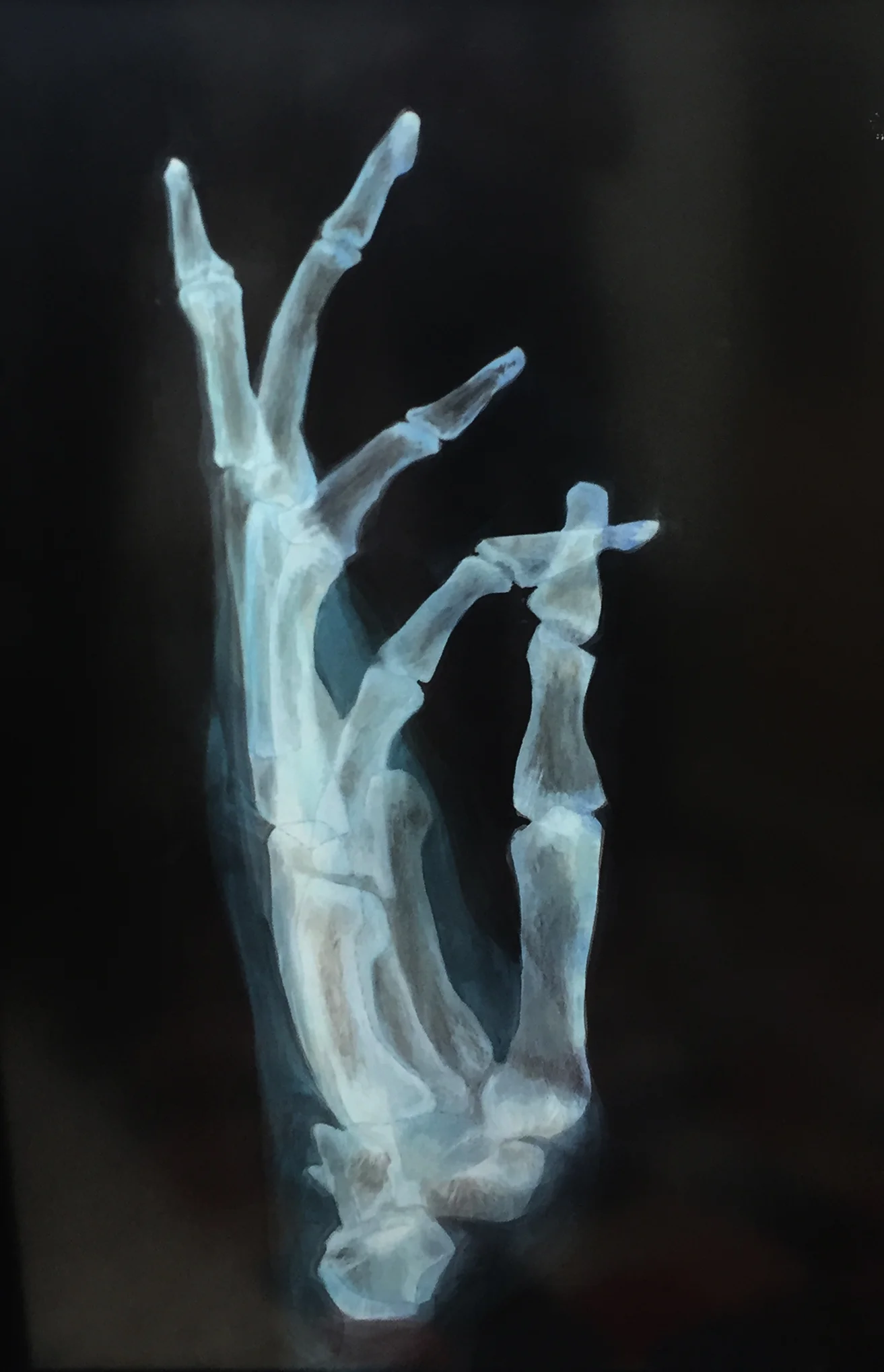 Ed Aulerich-Sugai featured exhibitions in 2019