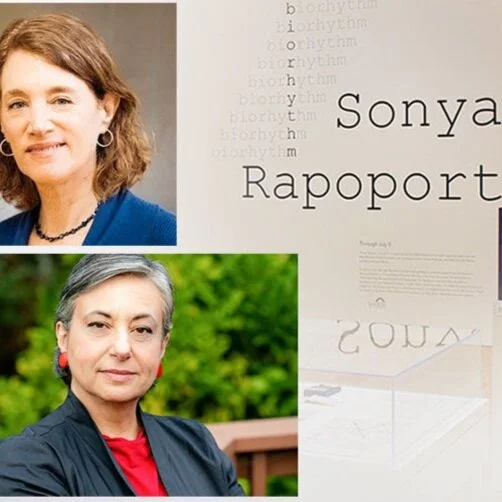 Virtual Tour of "Sonya Rapoport: biorhythm" at San Jose Museum of Art