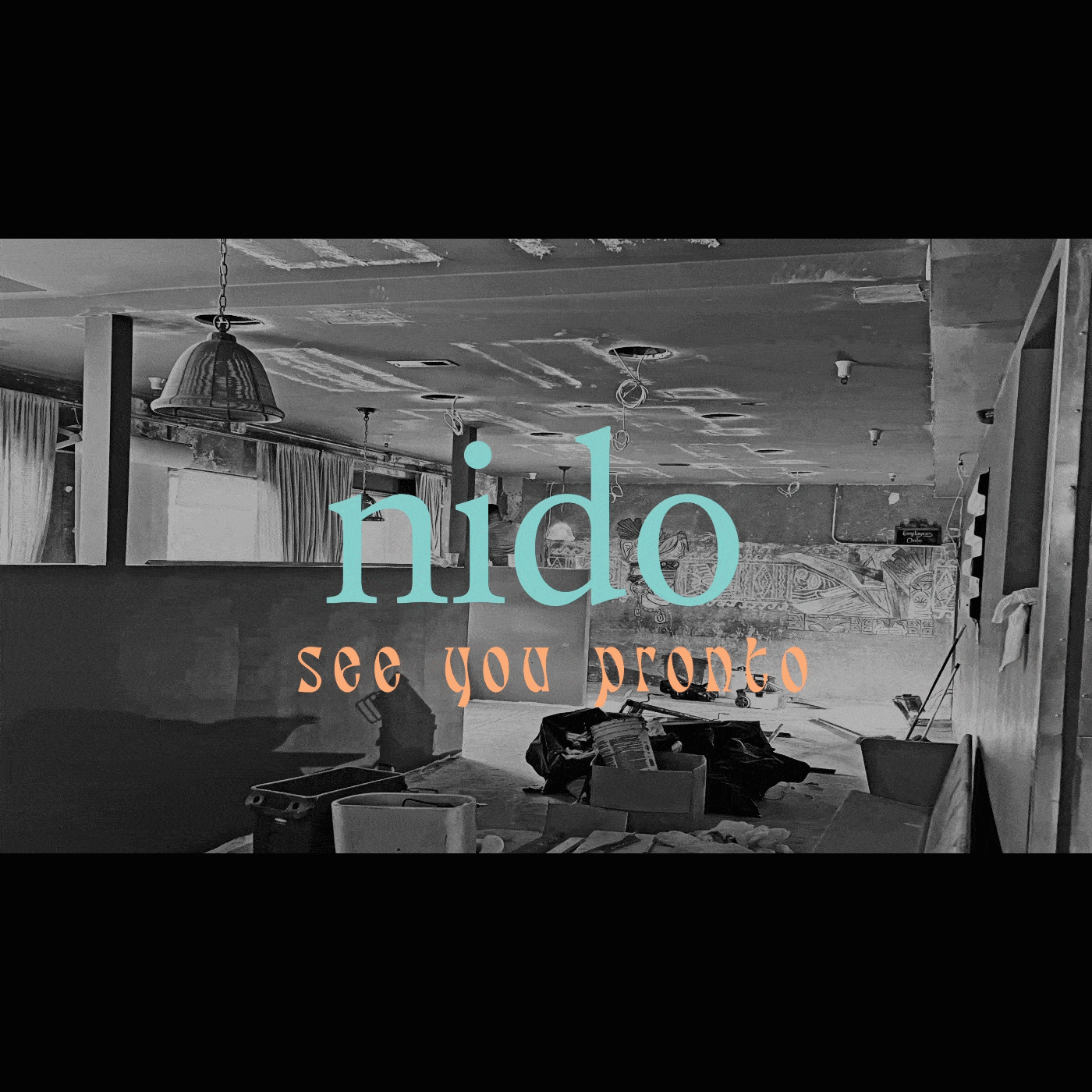 Nido_animation_3-min.gif