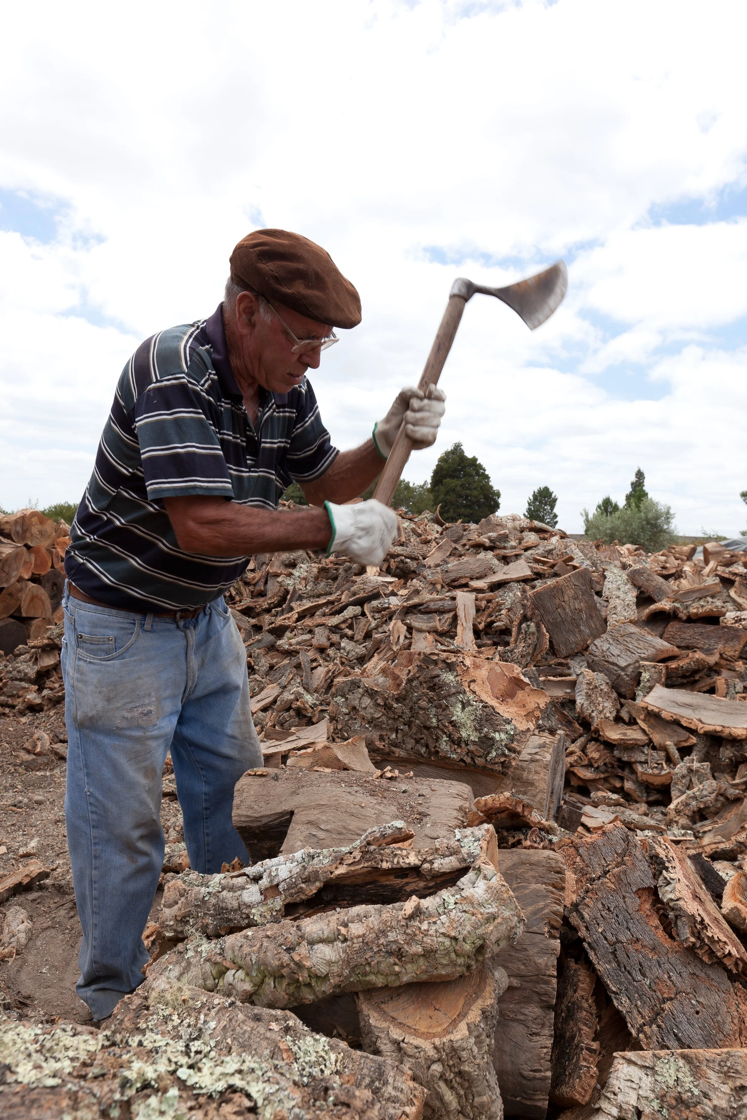 Cork is harvested by hand in Portugal.