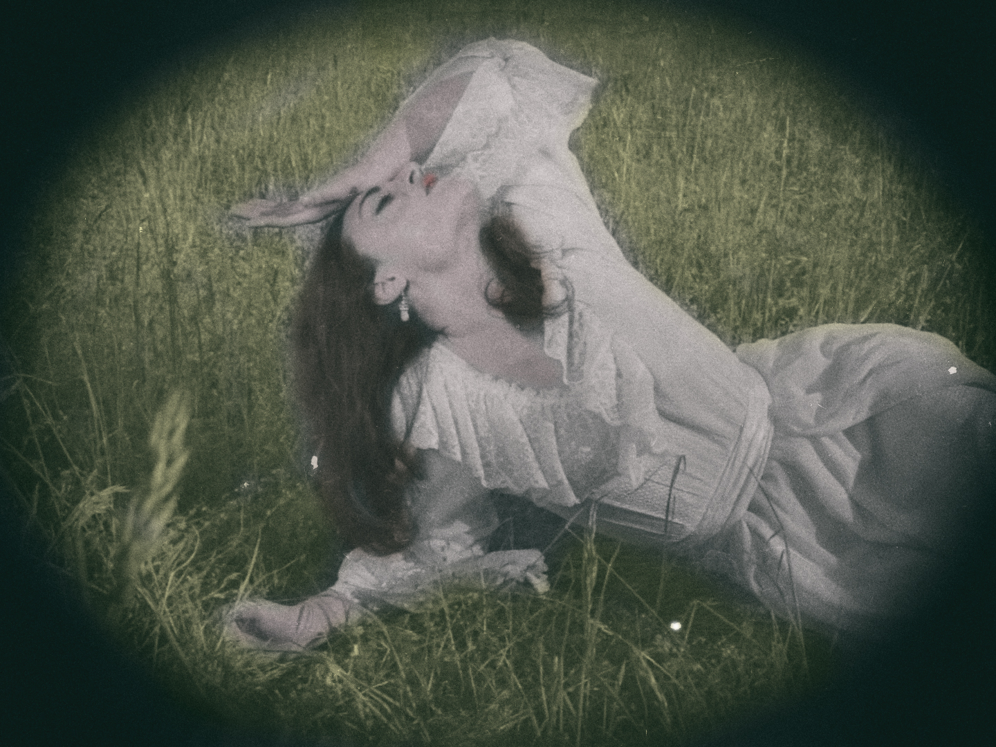 Mary Di Tomasso
