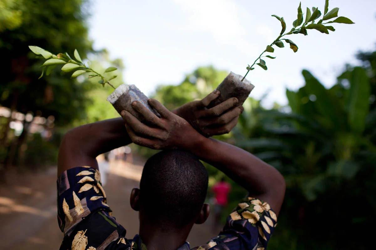 Abramson_Legatum_Haiti_04.jpg