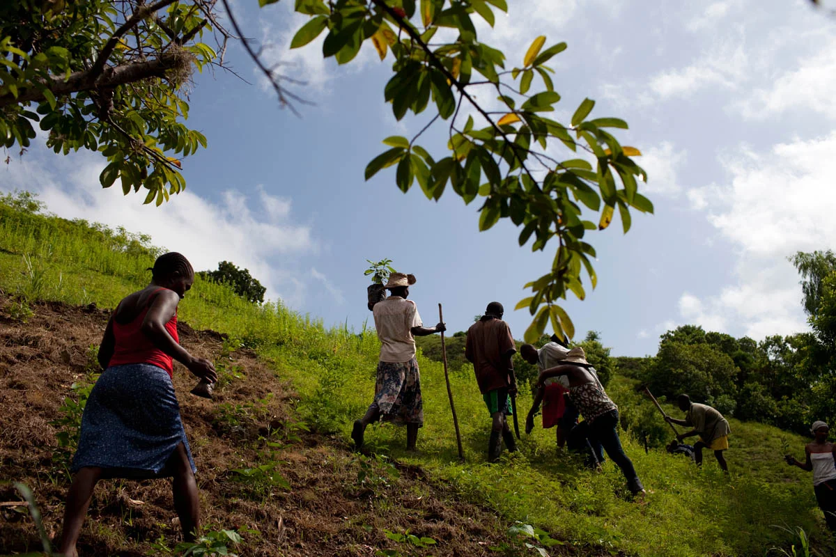 Abramson_Legatum_Haiti_07.jpg
