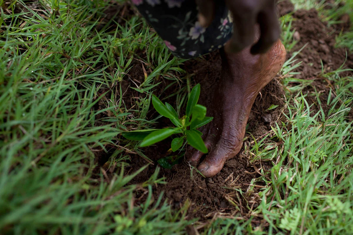 Abramson_Legatum_Haiti_09.jpg