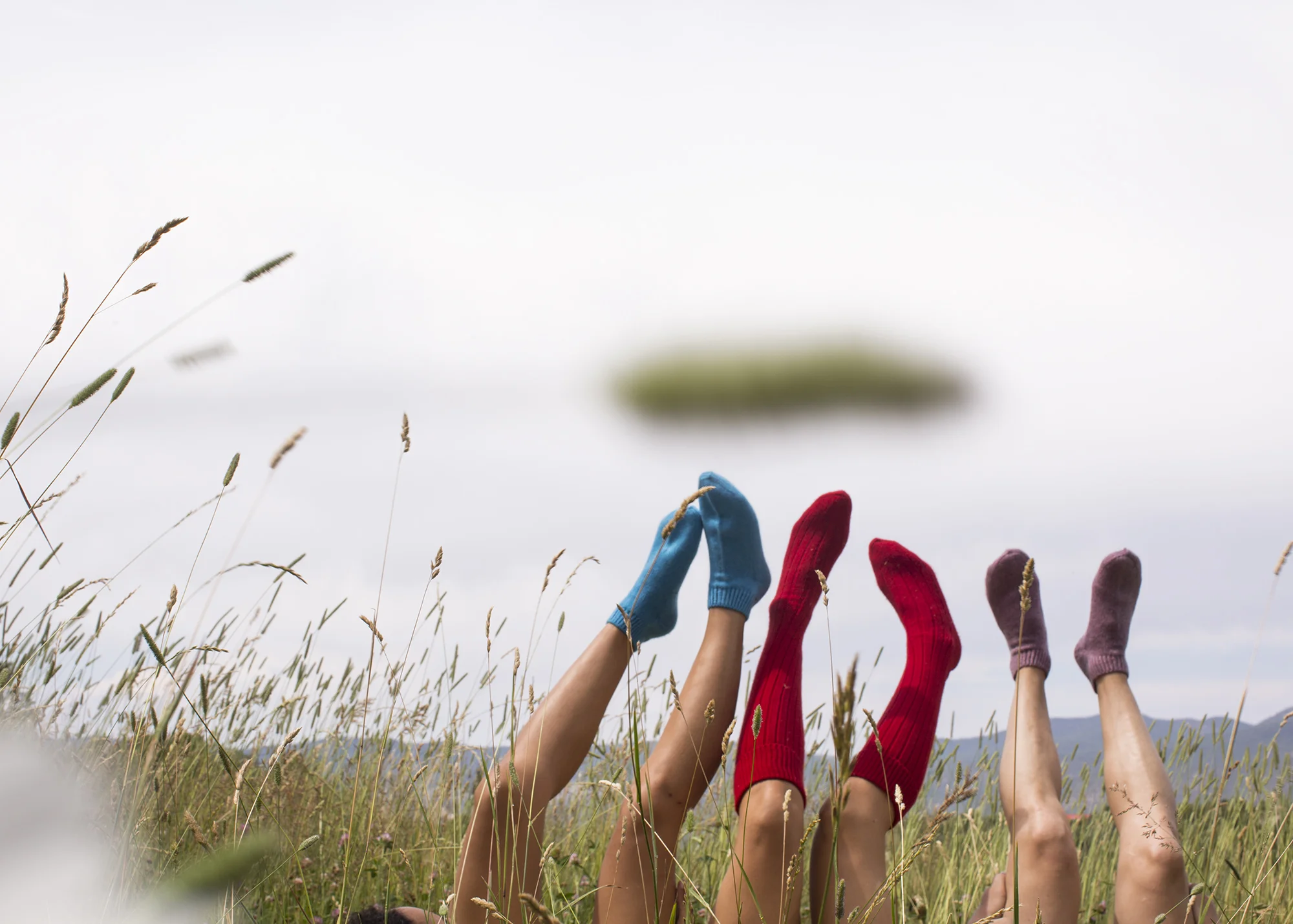 golightly_cashmere_the_cashmere_footsie_turquoise_flower_302_substantial_sock_ruby_301rub_M2A0681.jpg