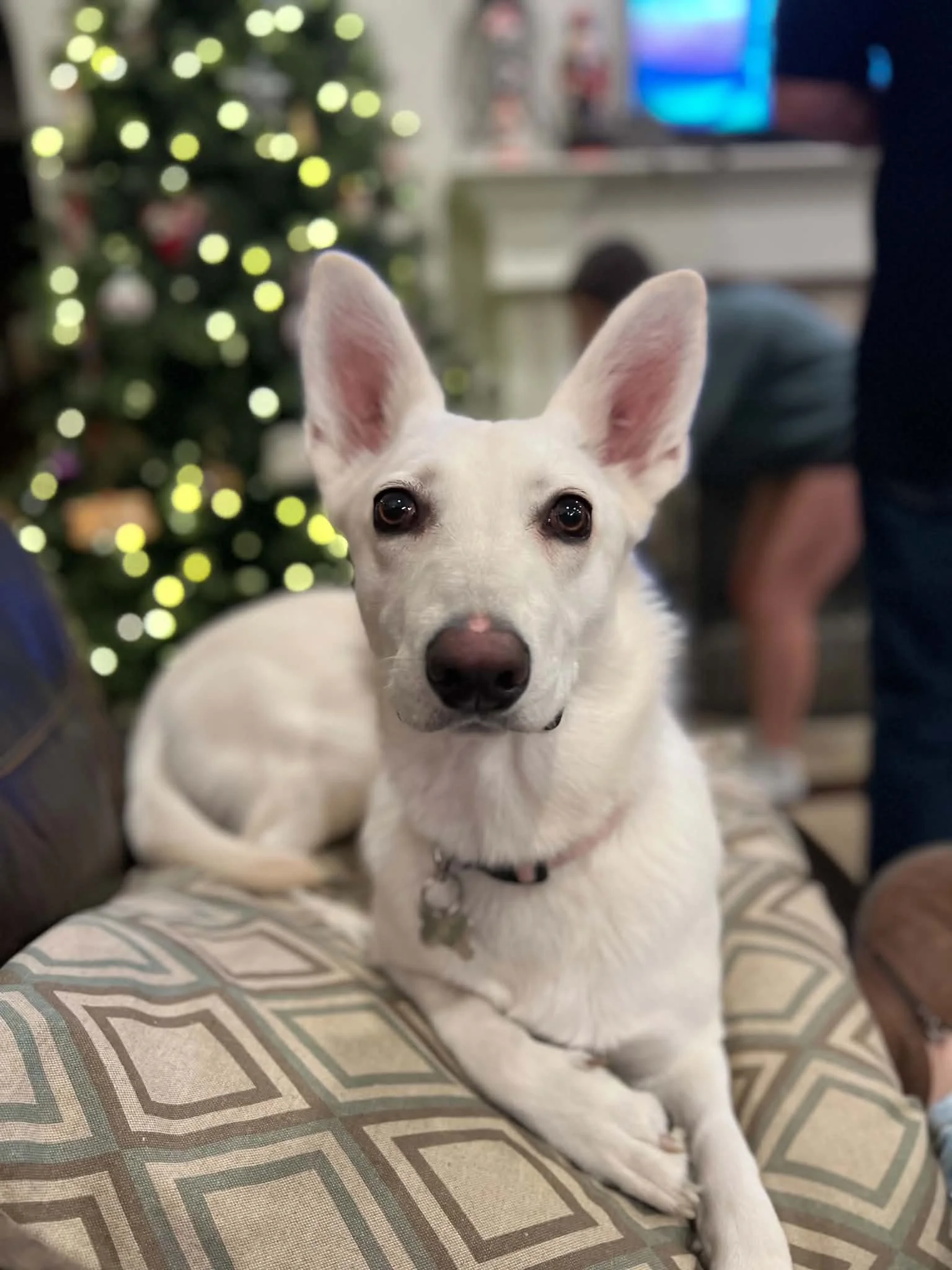 35228f67-0430-4914-9b29-764231f3e441.jfif