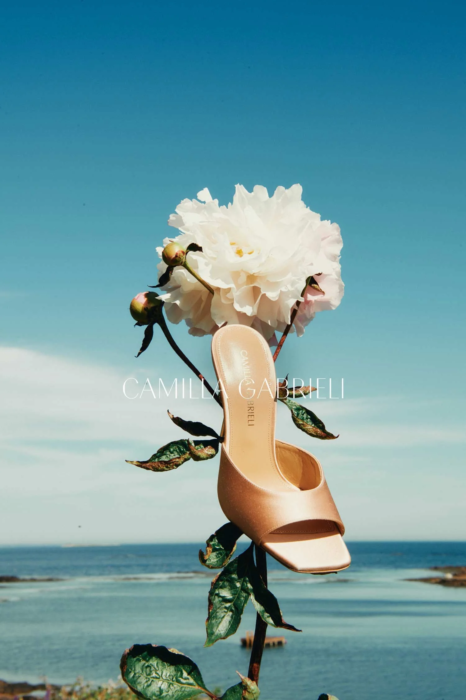shoe3.jpg