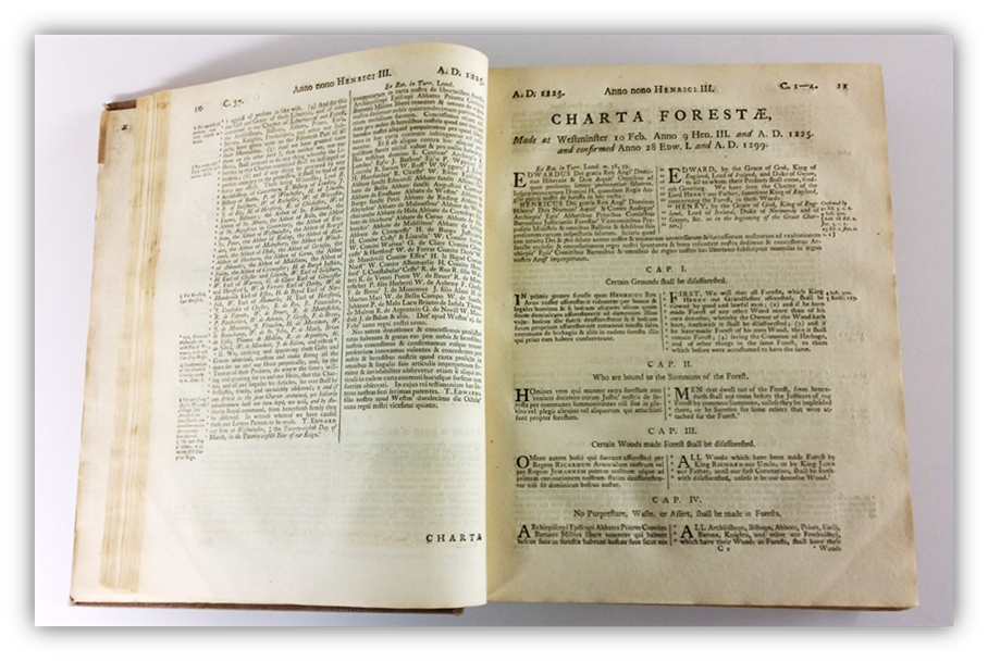 Magna Charta - page10.png