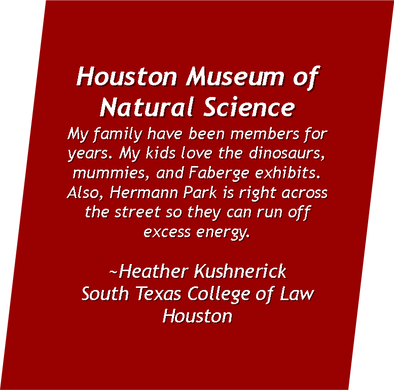  My family have been members of the  Houston Museum of Natural Science  for years. My kids love the dinosaurs, mummies, and Faberge exhibits. Also, Hermann Park is right across the street so they can run off excess energy.  ~Heather Kushnerick  South