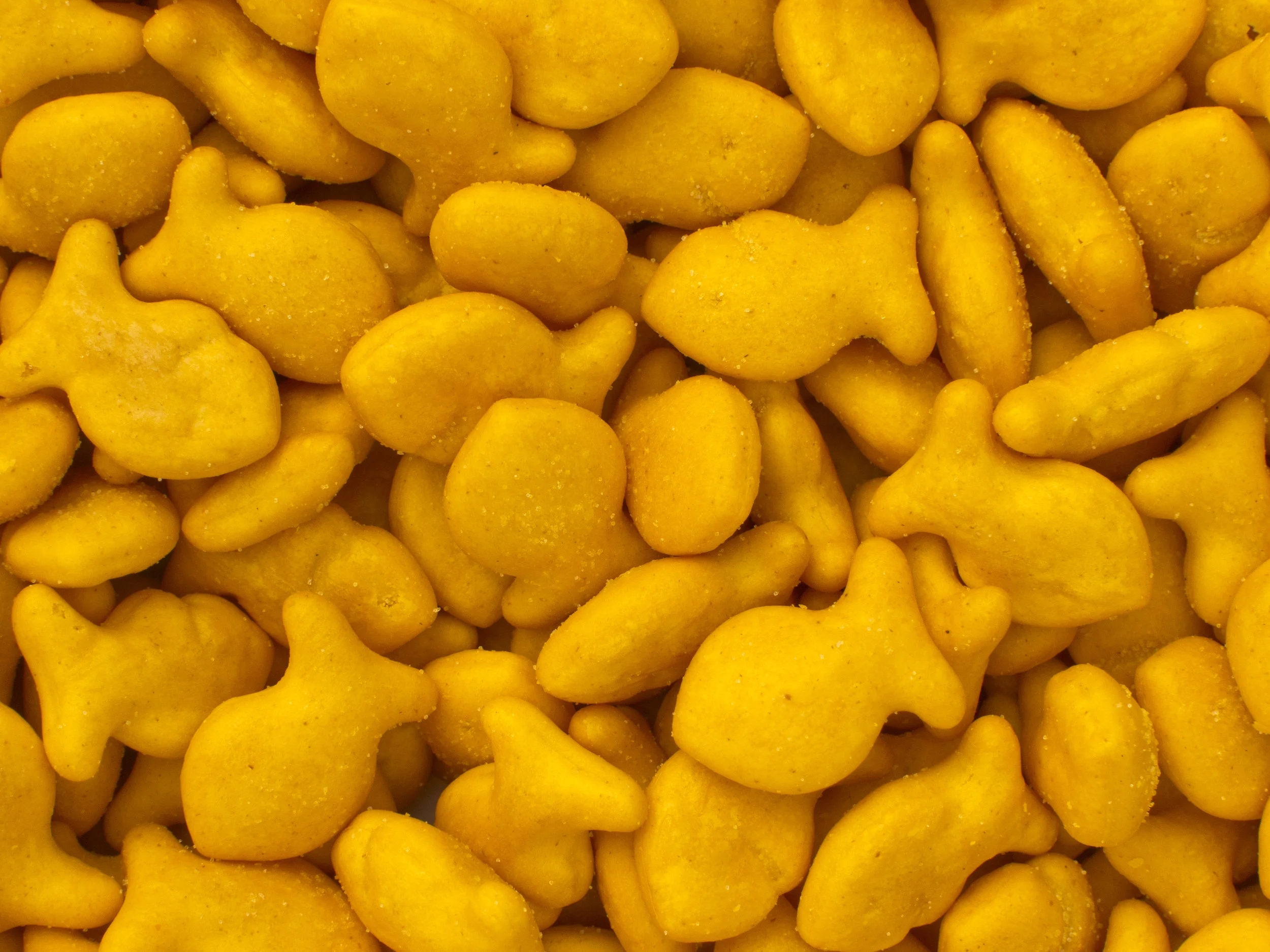 Anyone can make a cheese cracker, but woe unto he who incurs the wrath of Pepperidge Farms by shaping that cheese cracker like a fish.