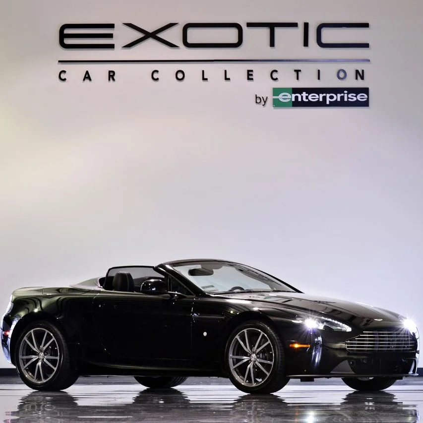 exotic3.jpg