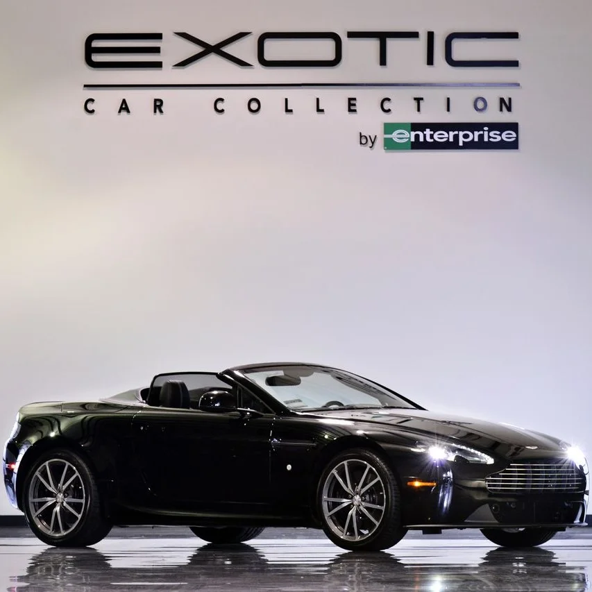 exotic3.jpg