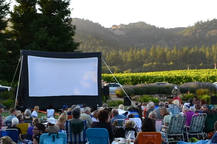 panoramic_summerfilm1.jpg