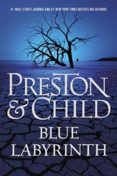 Melanie is previewing Blue Labyrinth by Douglas Preston & Lee Child. It will be available November 11th!