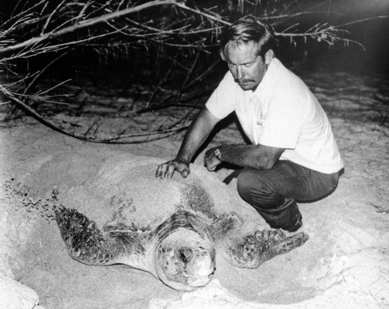 Charles and loggerhead.jpg