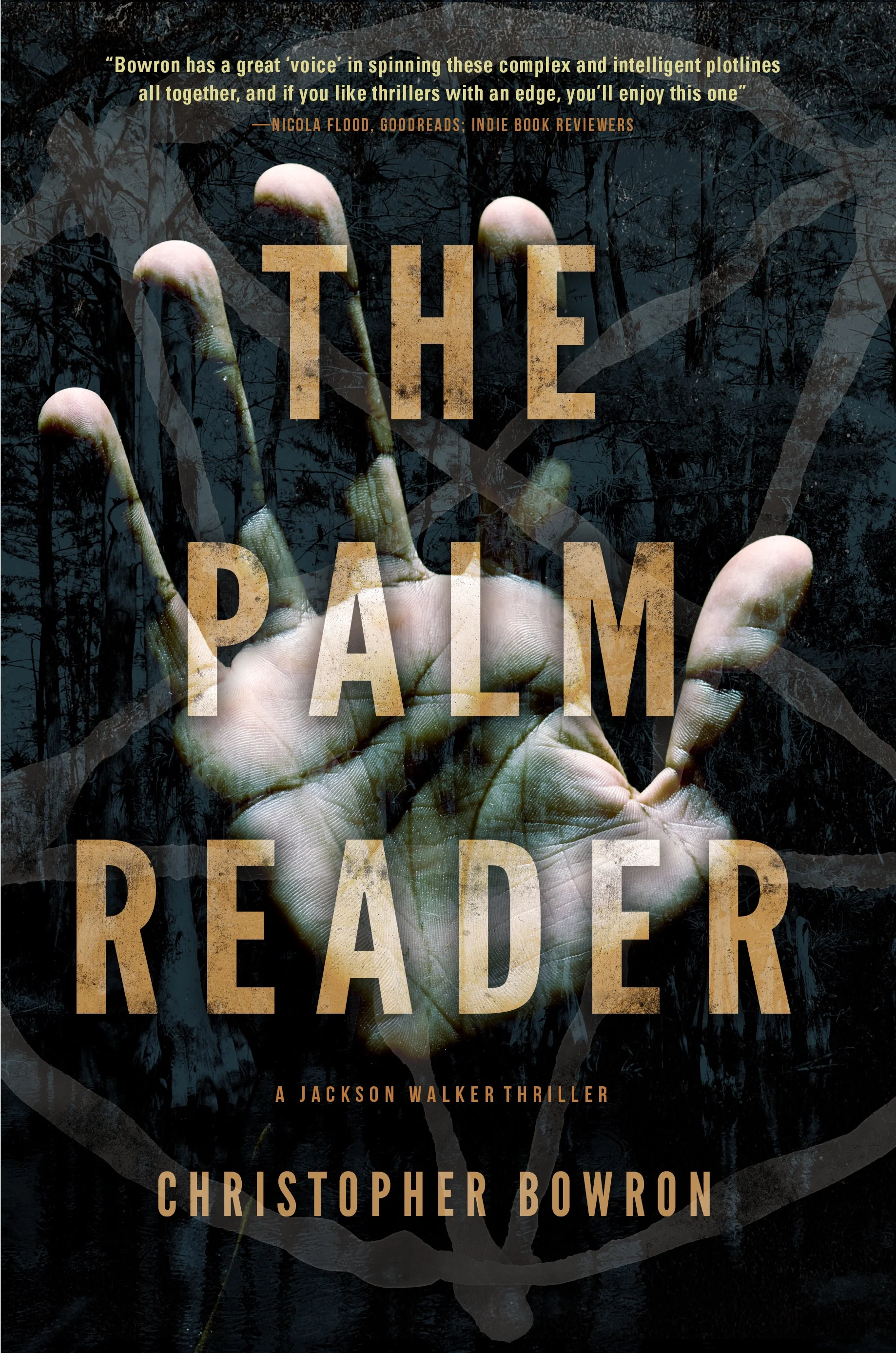 the palm reader cover-jpg.jpg