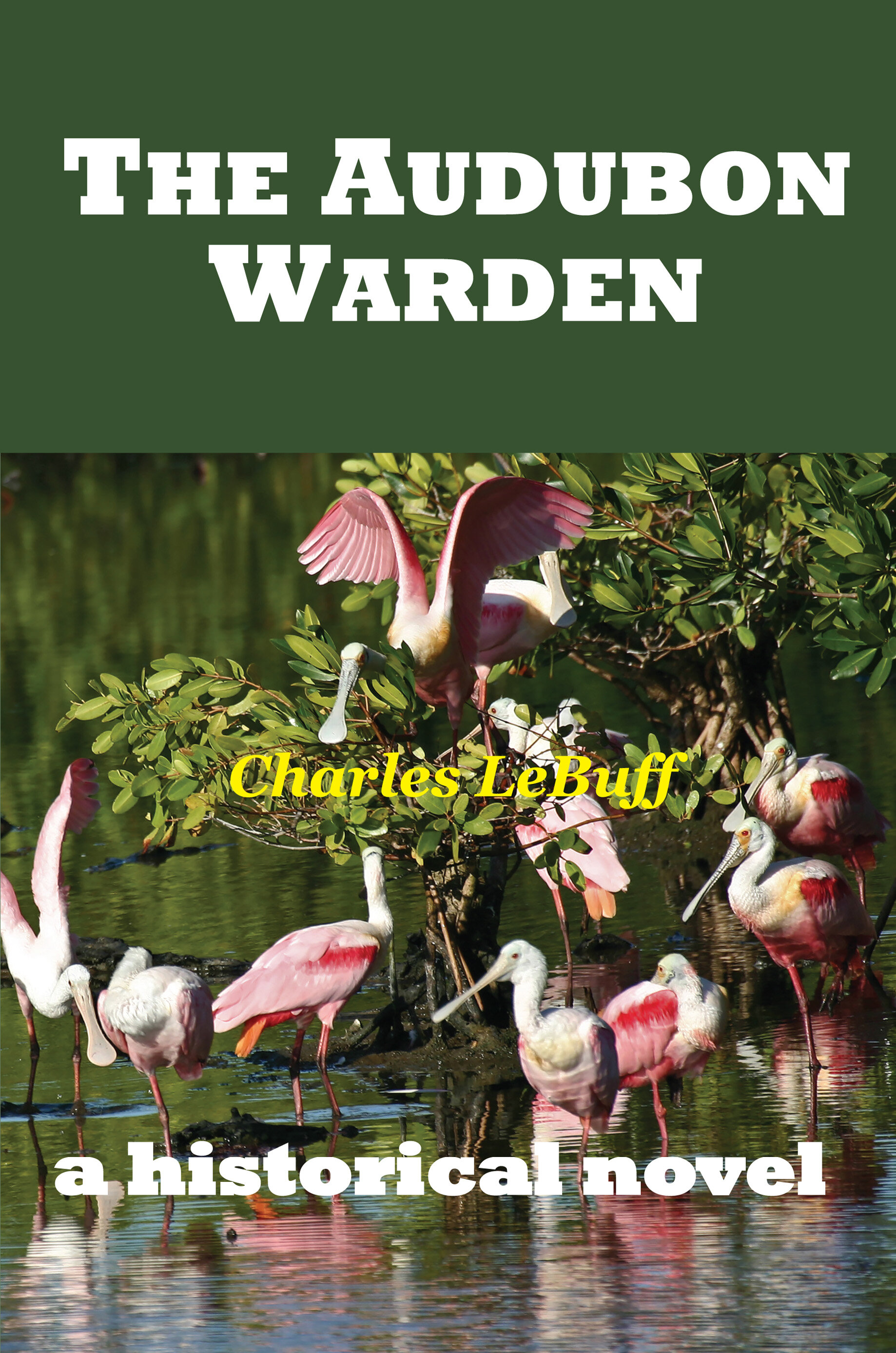 Audubon Warden New Cover.jpg