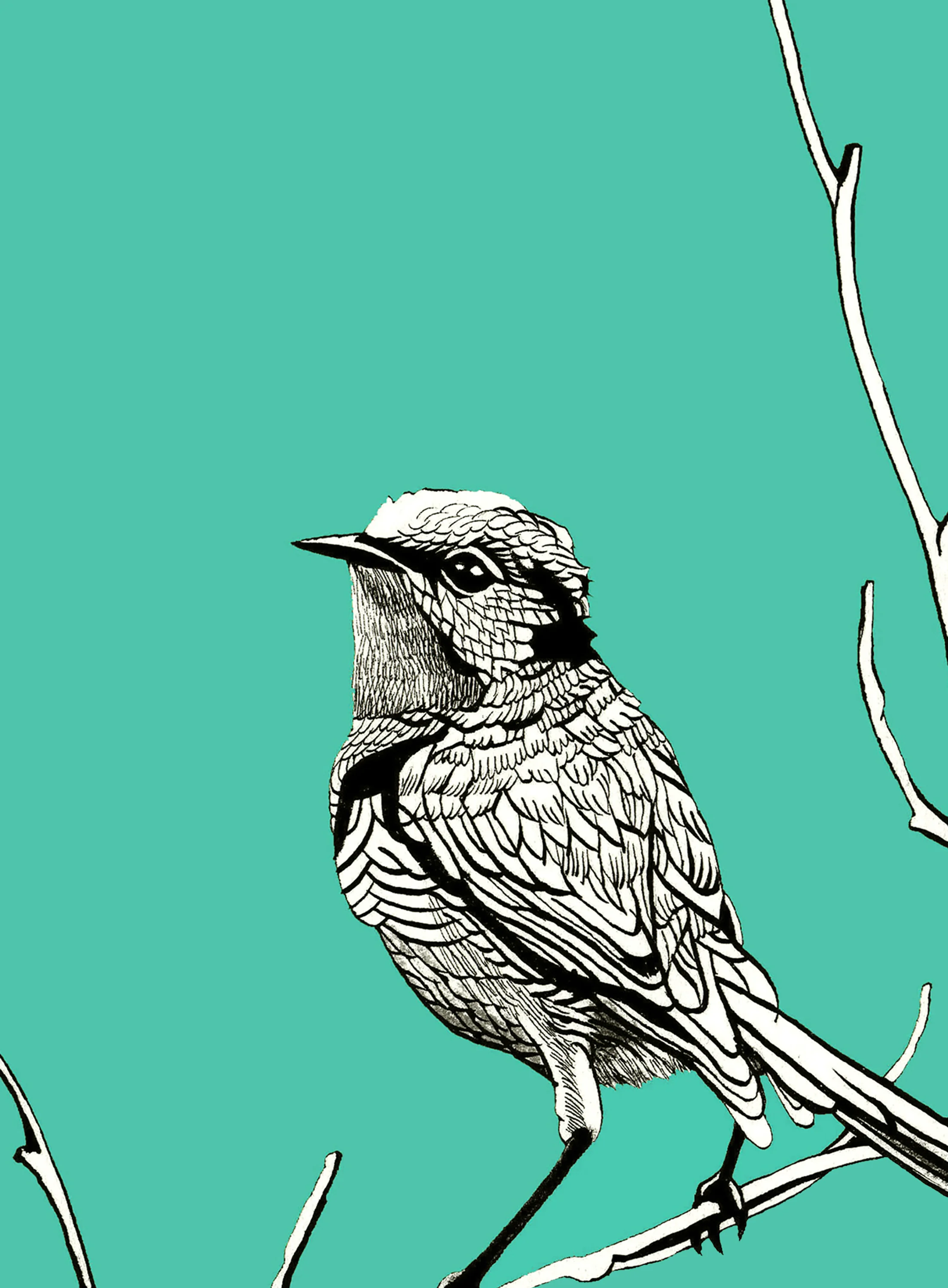 BIRD BLUE 8x10 WEBSITE.jpg