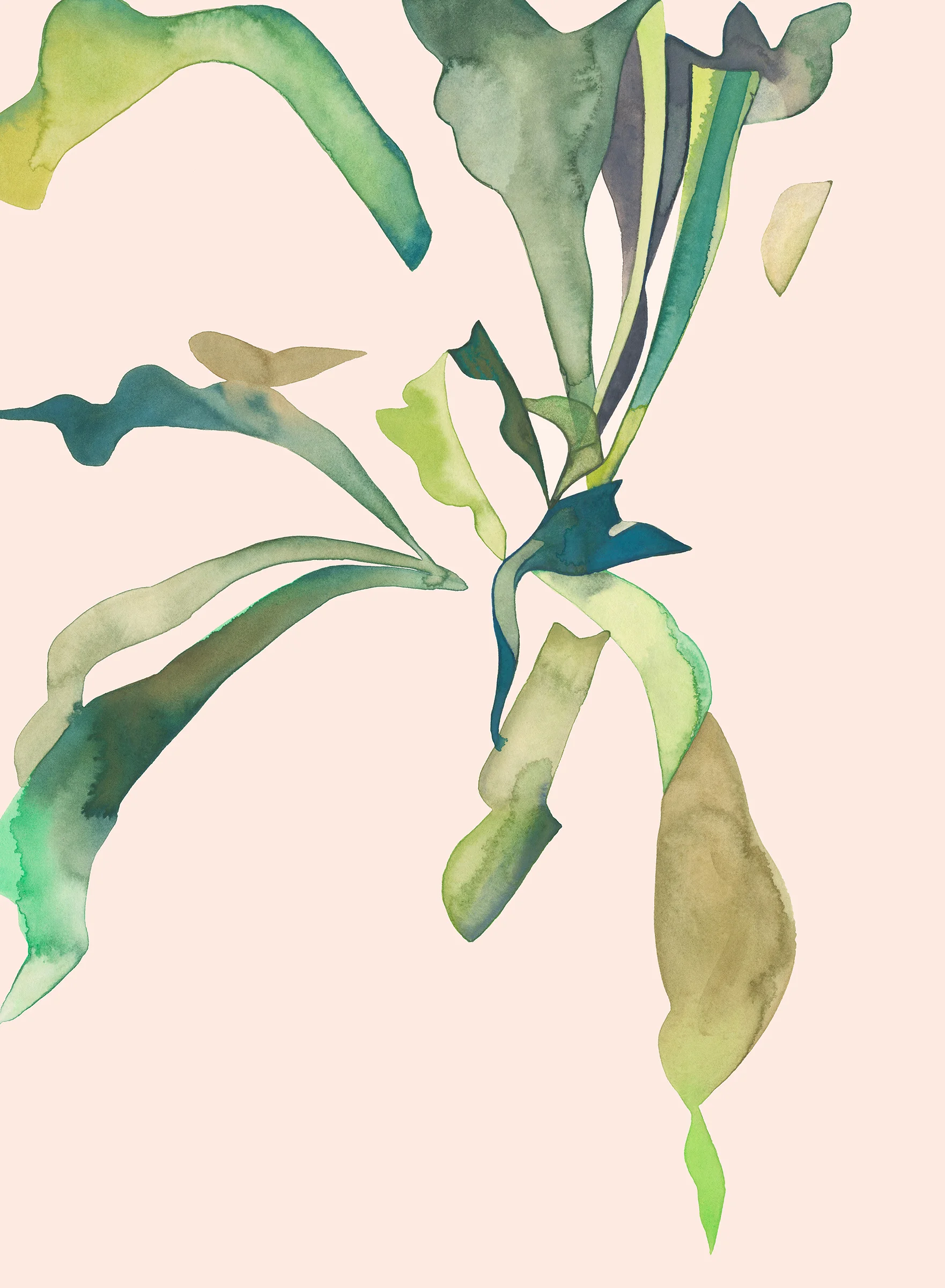 STAGHORN 1 12x16 WEBSITE.jpg