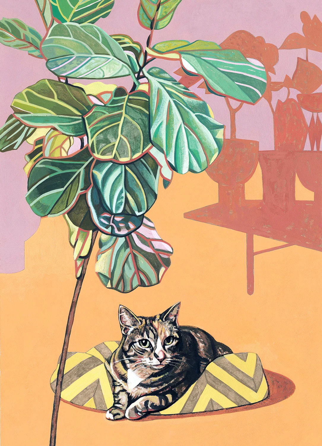 CAT LUCILLE 8X10 WEBSITE.jpg