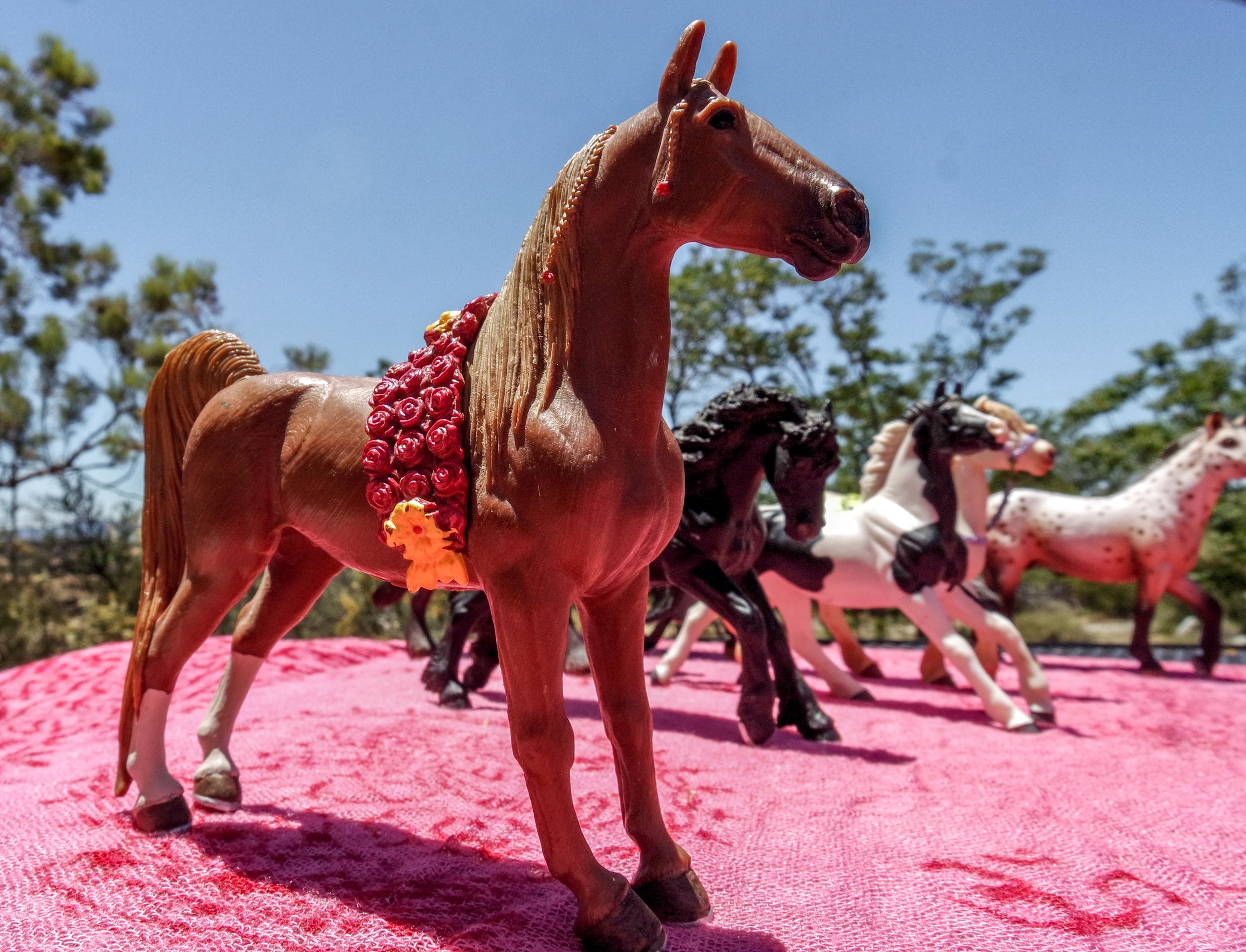 Mother Horse adding her support.