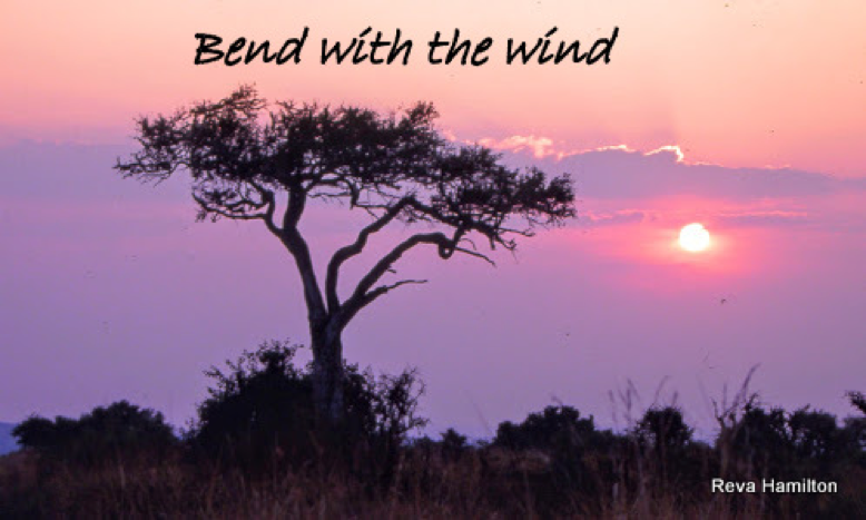 Resilient Constellations with Reva and Richard