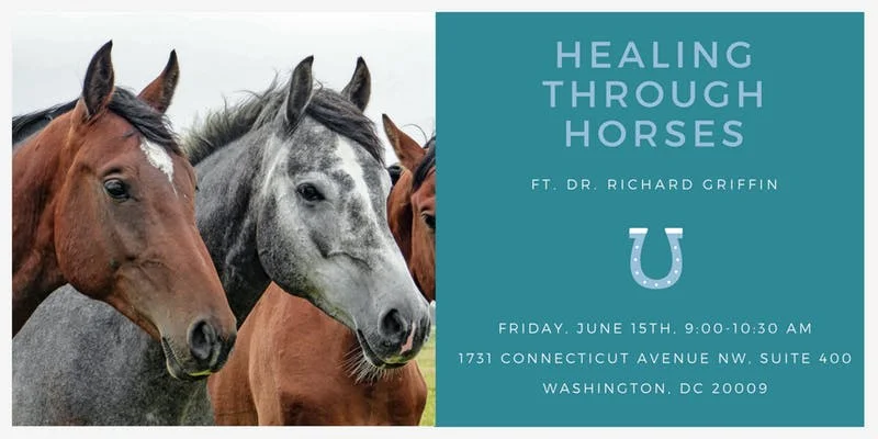 Healing Through Horses