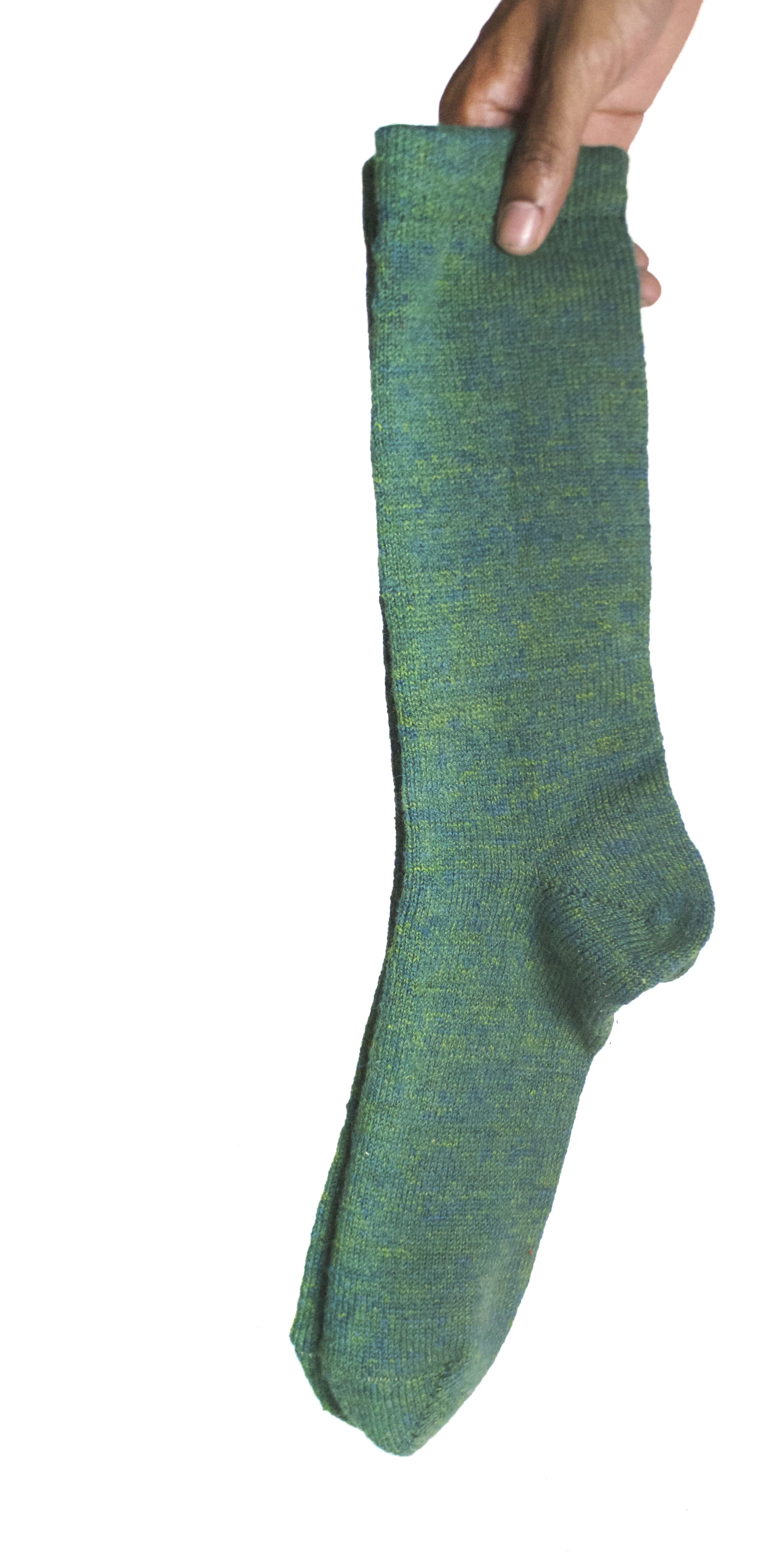 b2 copy copy copy.jpg