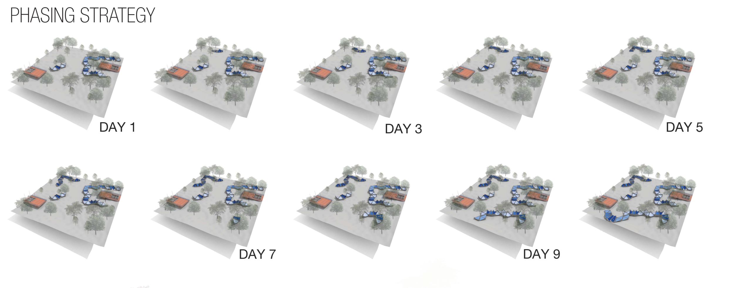 phasing strategy.png