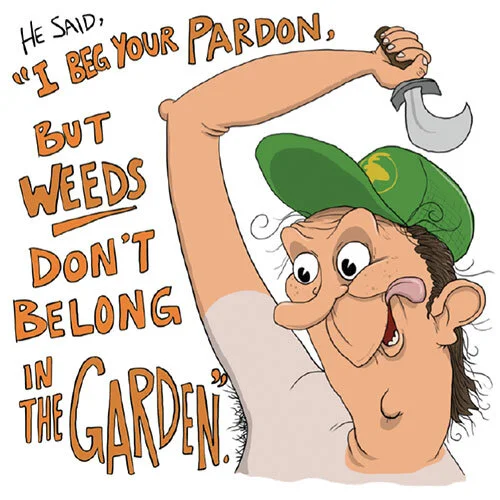 Willie-The-Weed-Childrens-Book-Page-19.jpg