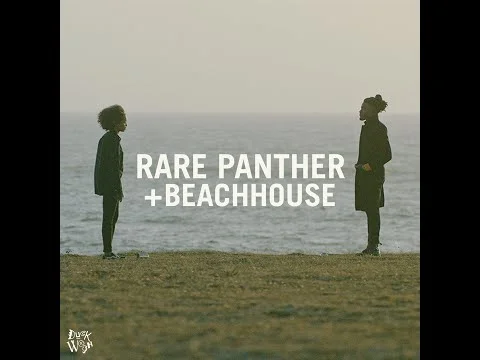"RARE PANTHER + BEACH HOUSE" (Official Video) - Duckwrth