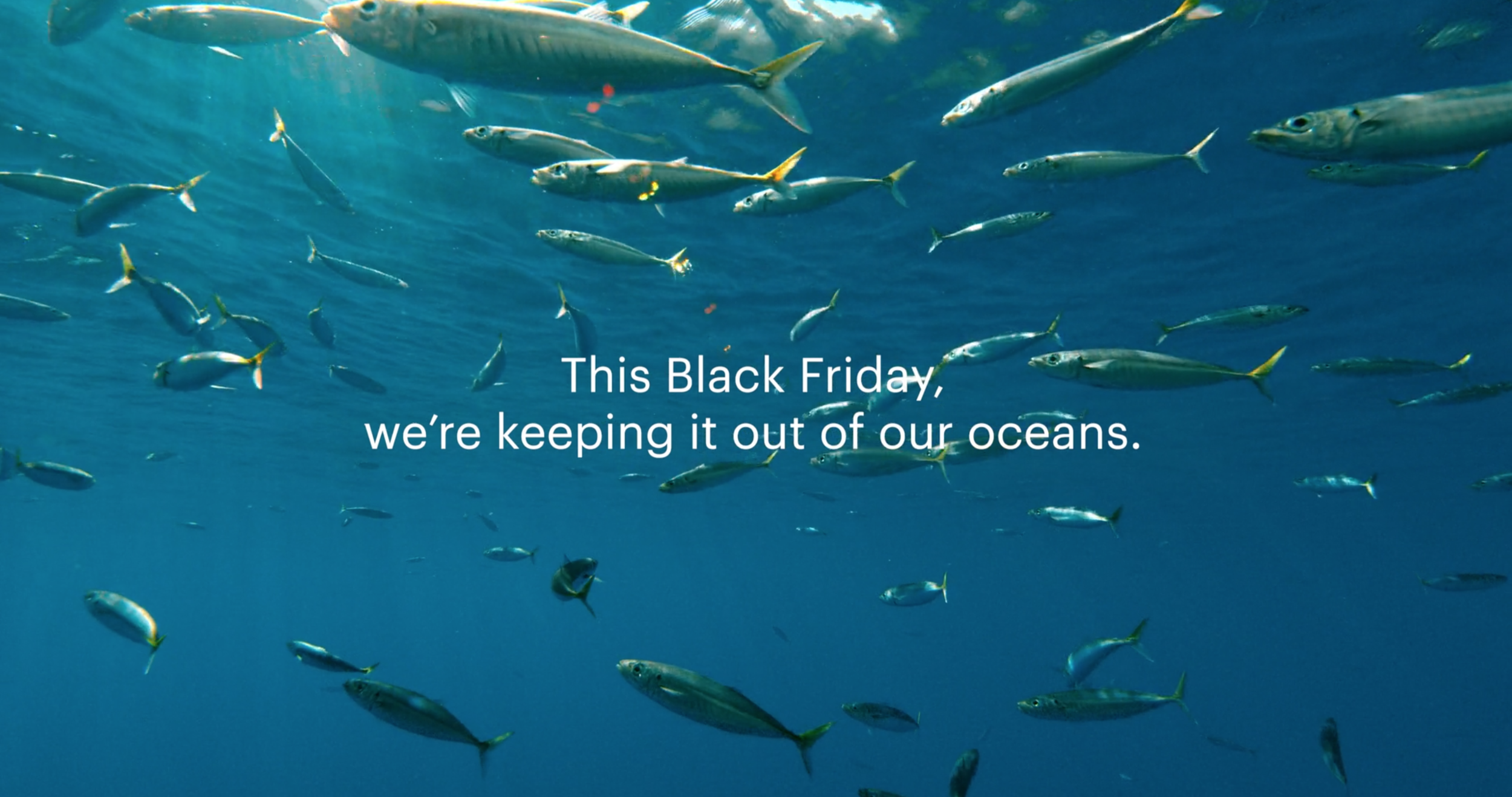 Screen Shot 2019-01-10 at 3.19.21 PM.png