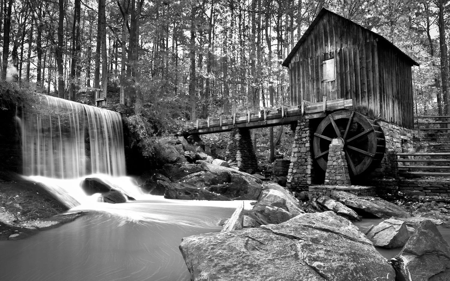 Mill at Life U.jpg